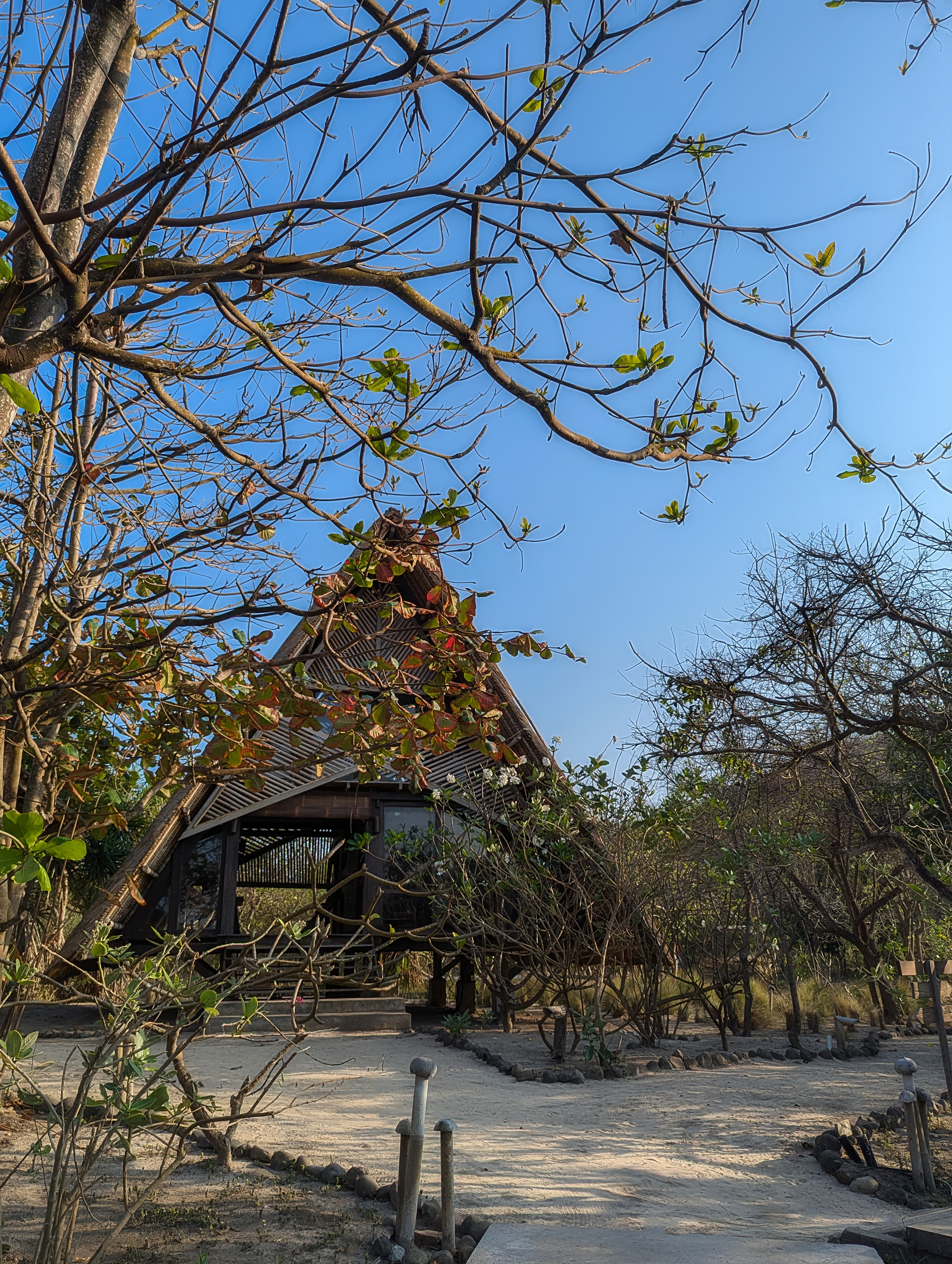 PXL 20240923 232612286.RAW 01.COVER Copy