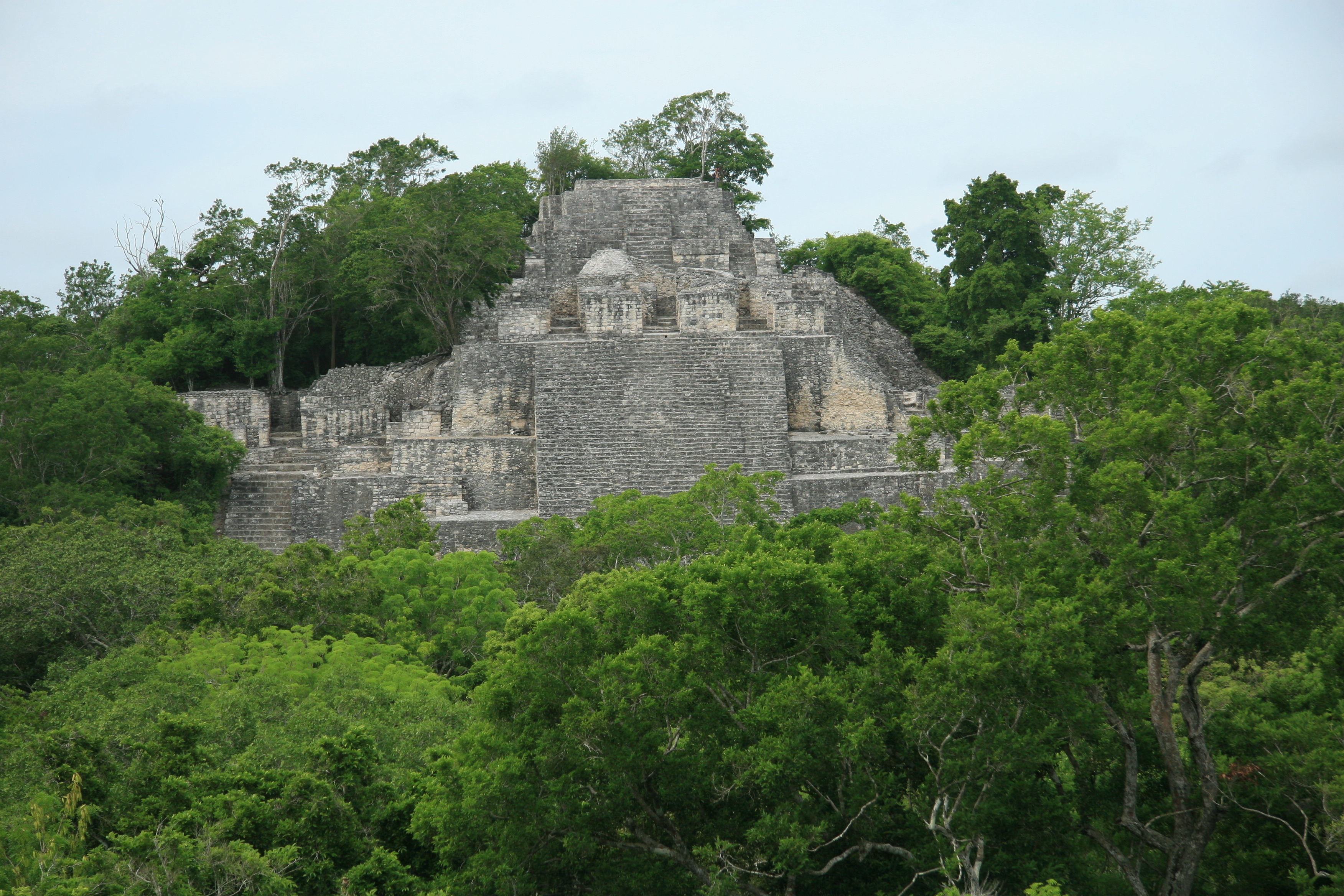 Tempelpyramide i Calakmul omgivet af tæt regnskov i Campeche, Mexico