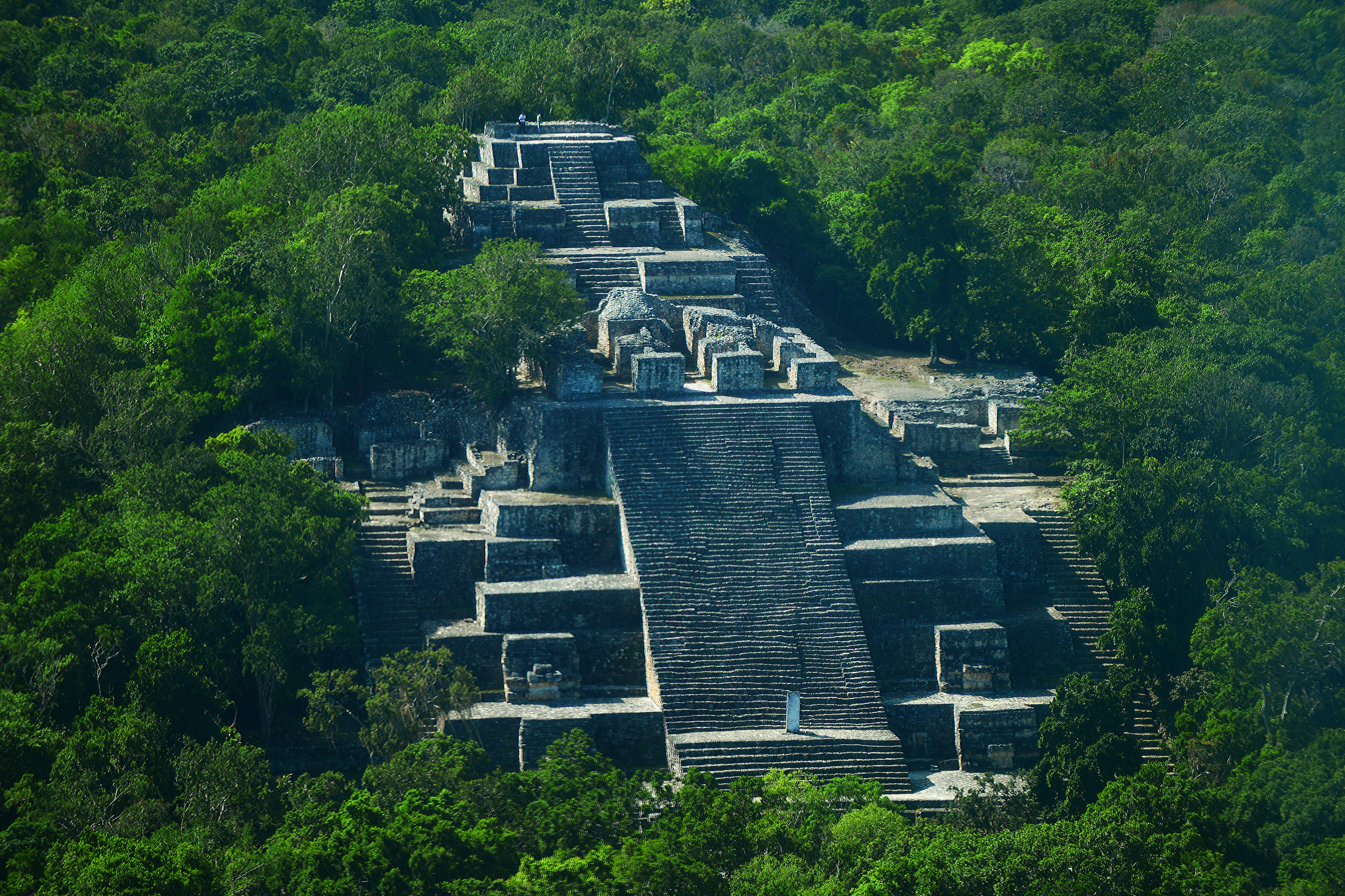 Calakmul 01.jpg
