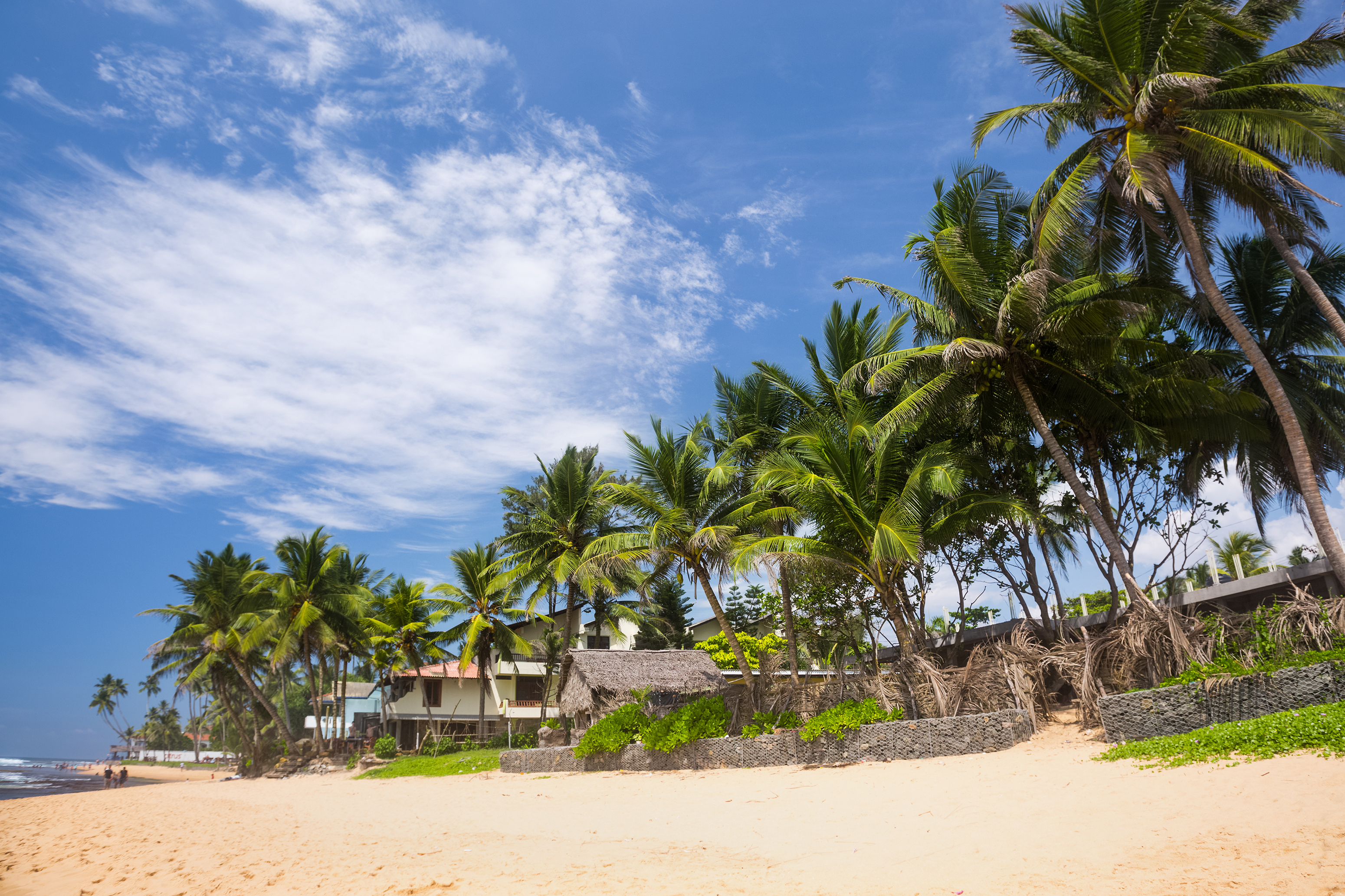 shutterstock_413597713 Tropical sandy beach with palm trees at sunny day. South of Bali, Jimbaran beach.jpg