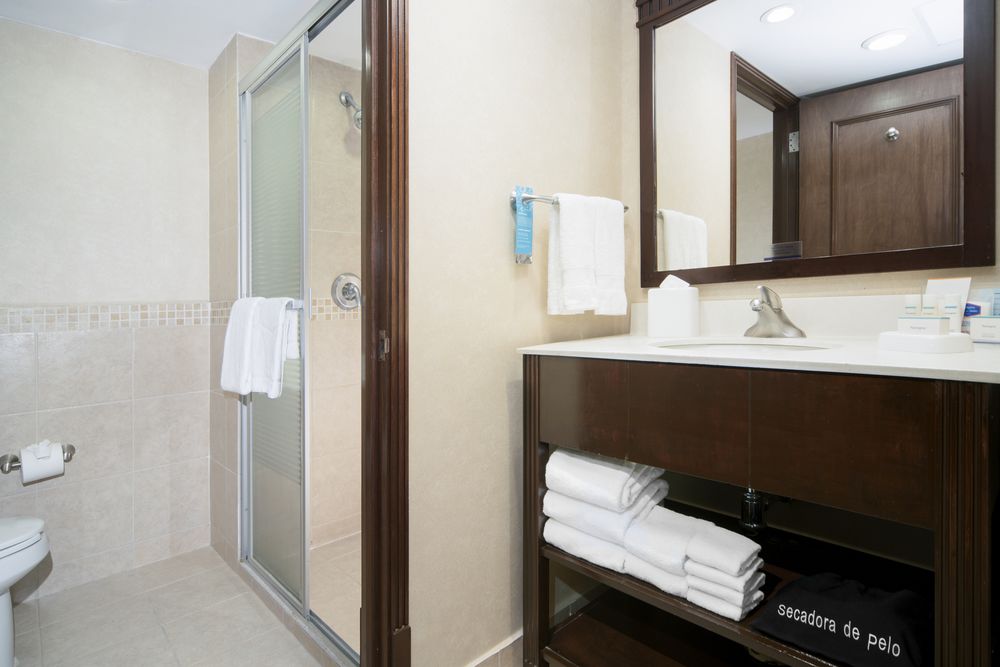 Hamptonn Inn & Suites Mex City - Bathroom.jpg
