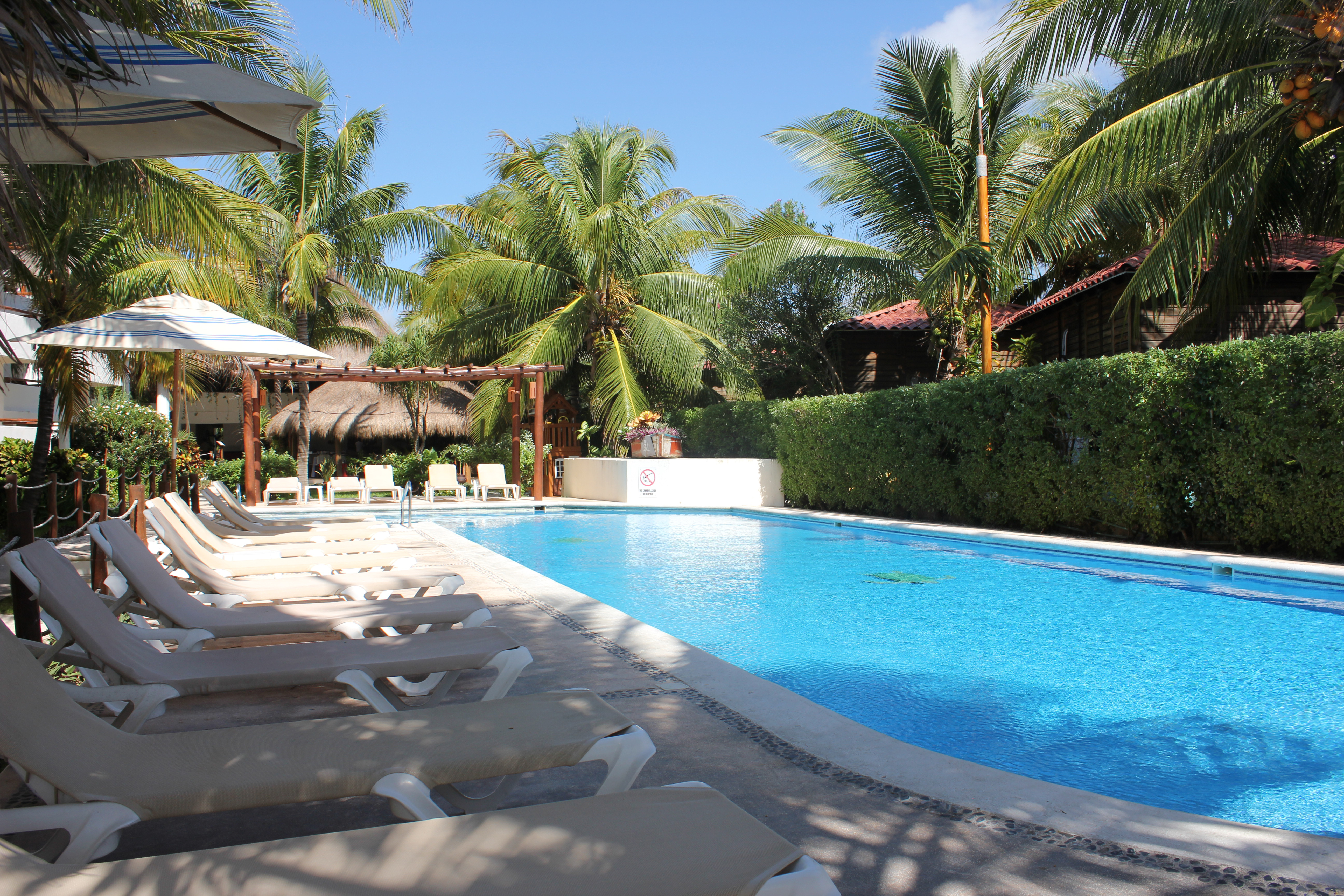 Petit Lafitte (13).JPG