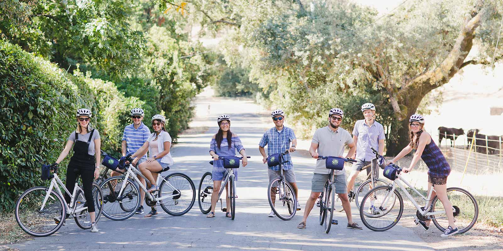 18462-media-2-Slideshow-SonomaValleyBikeTours-1600x800.jpg