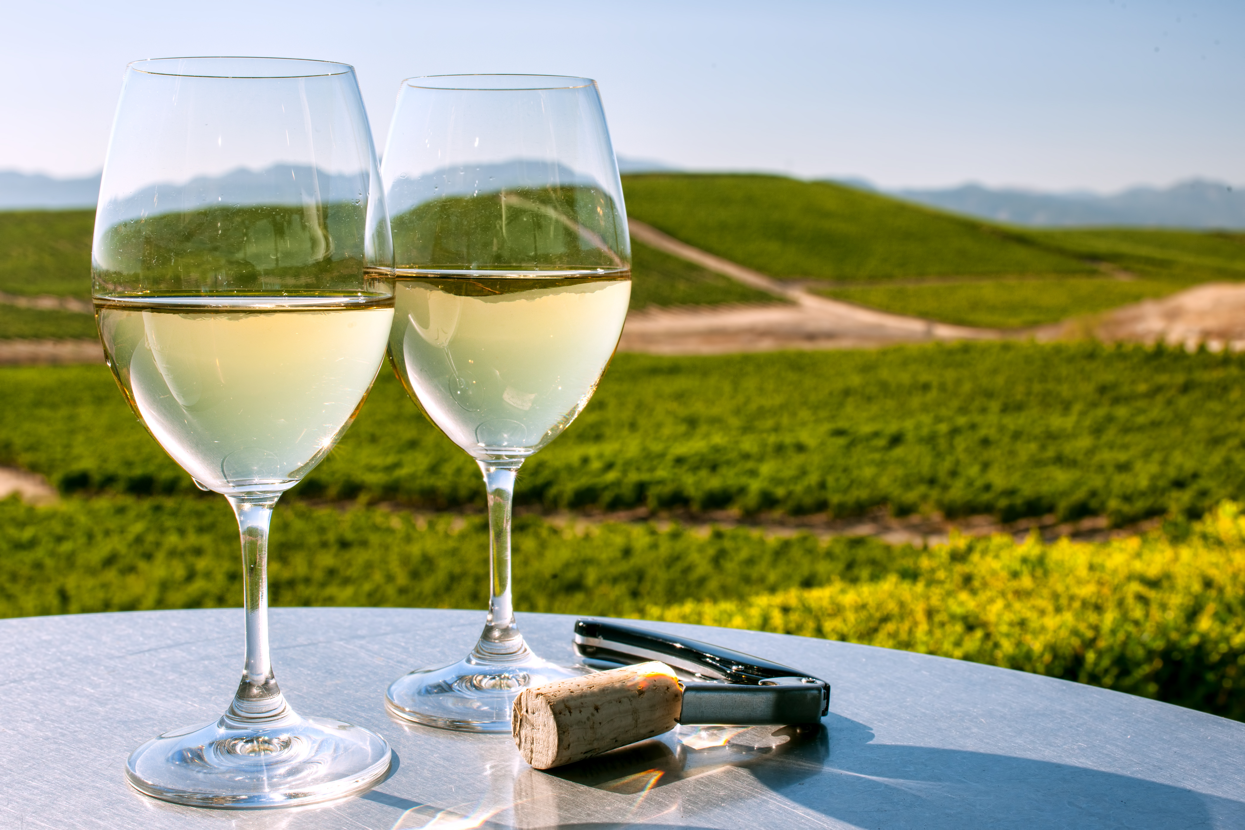 Vin og vinmarker i Sonoma - shutterstock_416475664.jpg