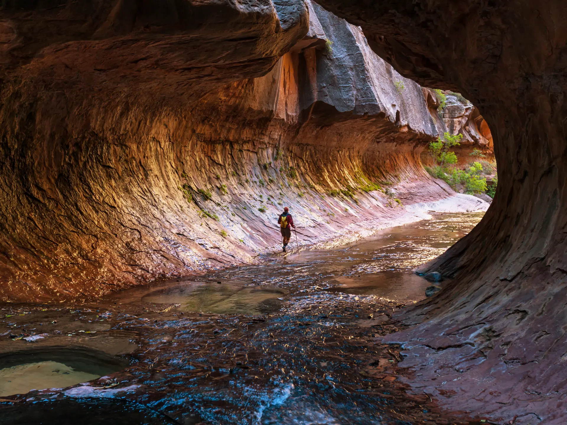 The Narrows i Zion National Park - shutterstock_338863880.jpg
