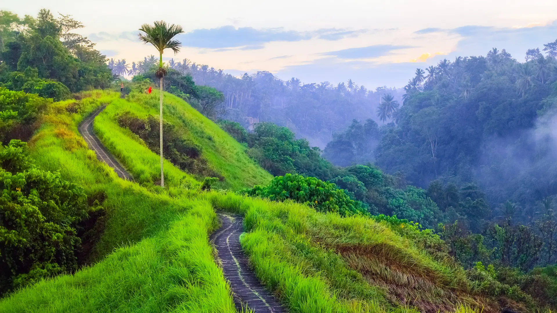 Campuhan Ridge Walk , Scenic Green Valley in Ubud Bali.jpg