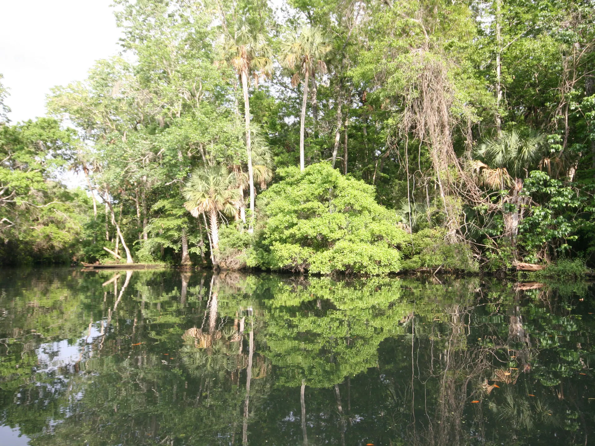 Crystal River_9009.JPG