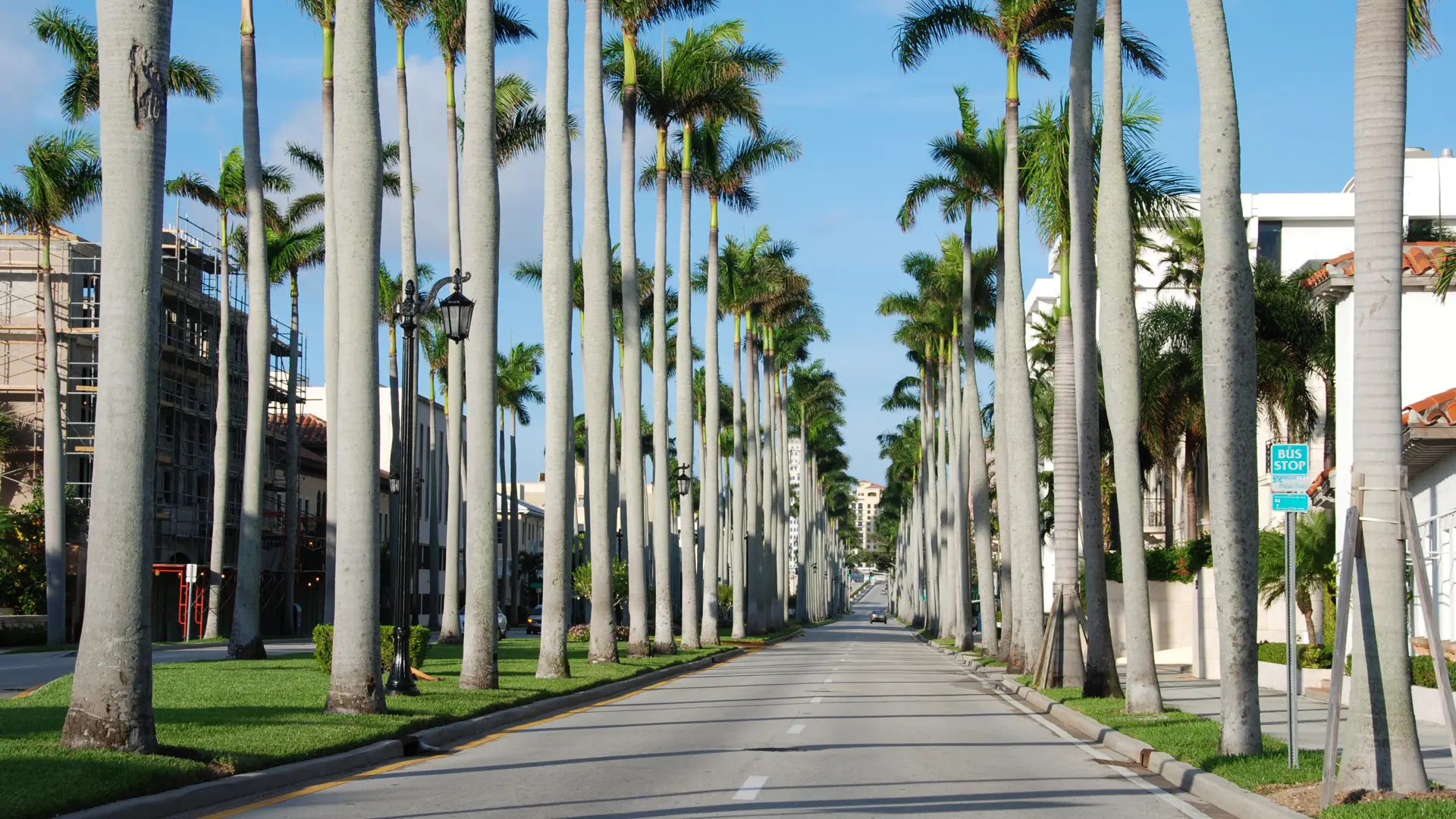 Fort Myers_Palmer_38775457.jpg