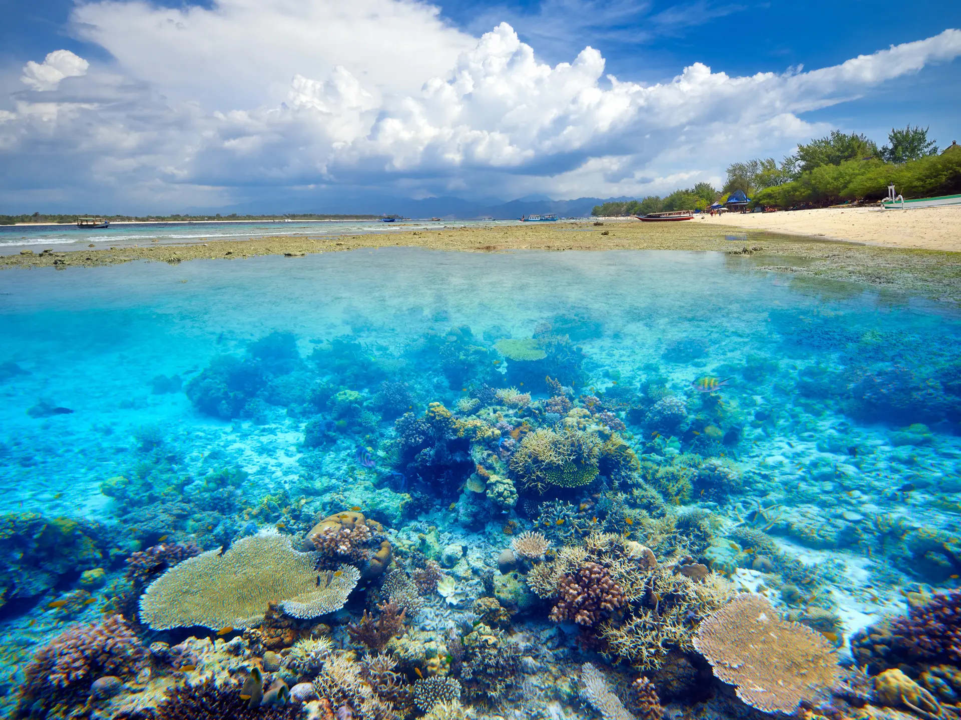 Gili Trawangan. Rejser til Bali.jpg