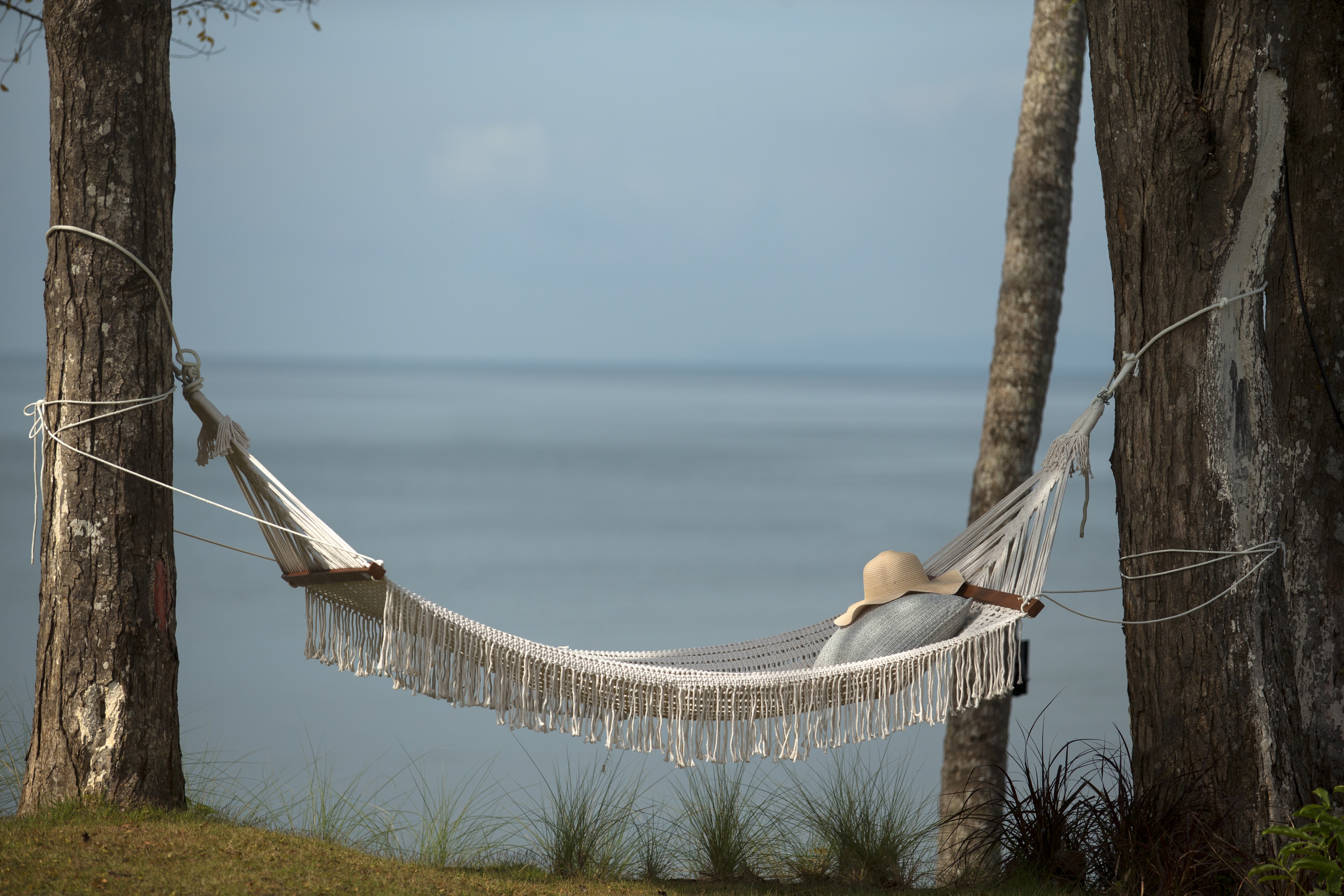 Tranquility area (3).jpg