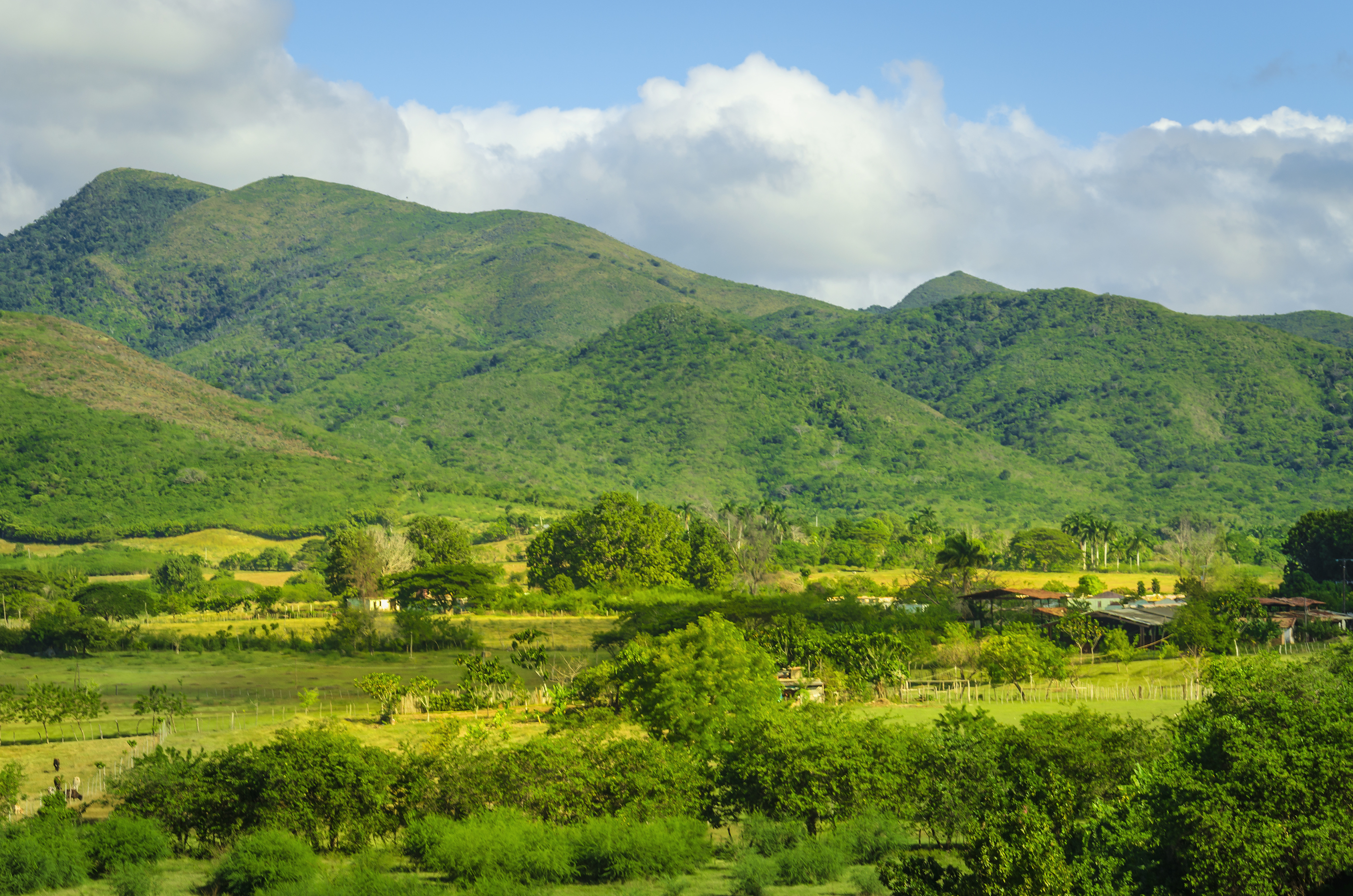 shutterstock_201710795 Valle de los Ingenios (Valley sugar mills).jpg