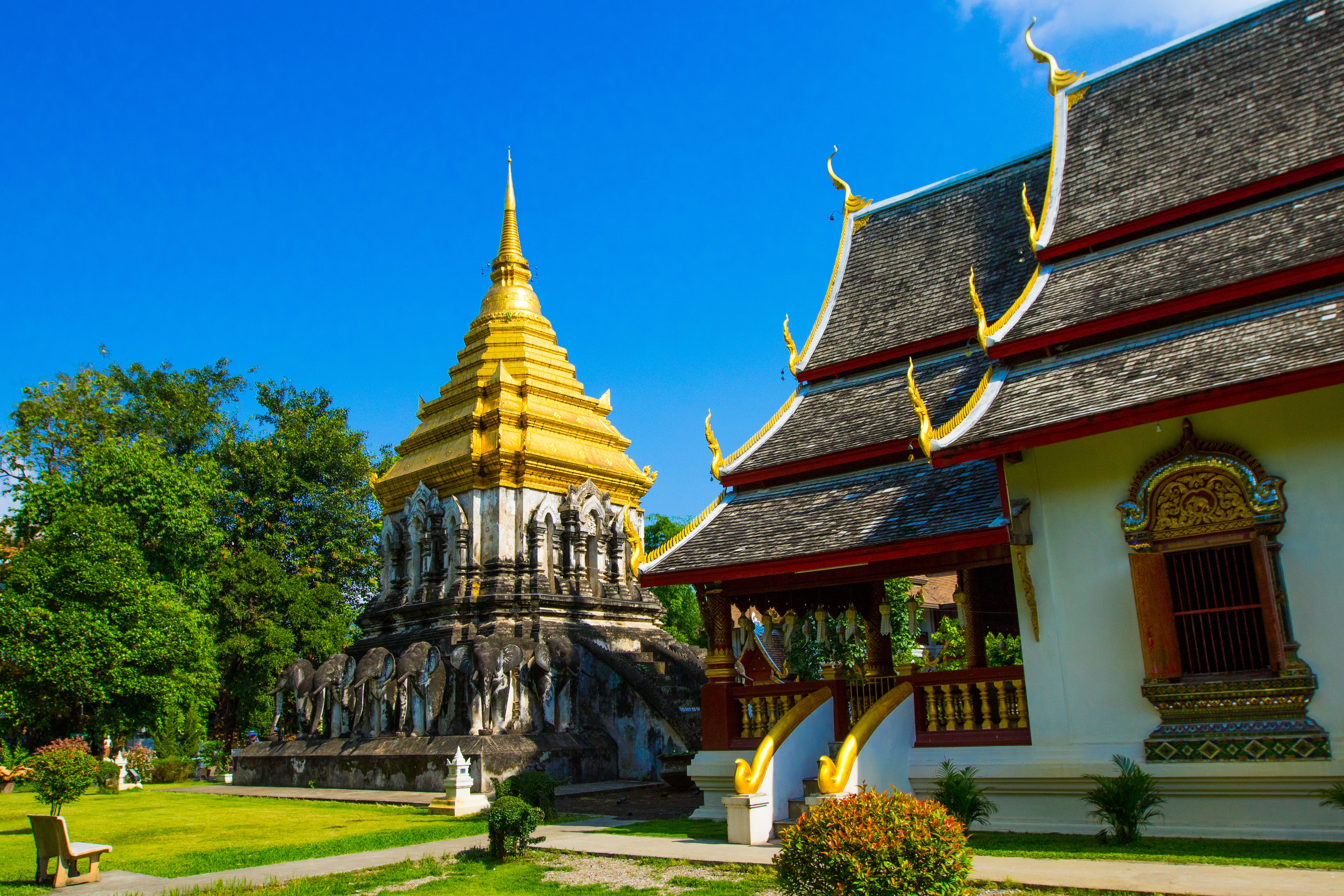Chiang Mai Wat Chiang Man.jpg