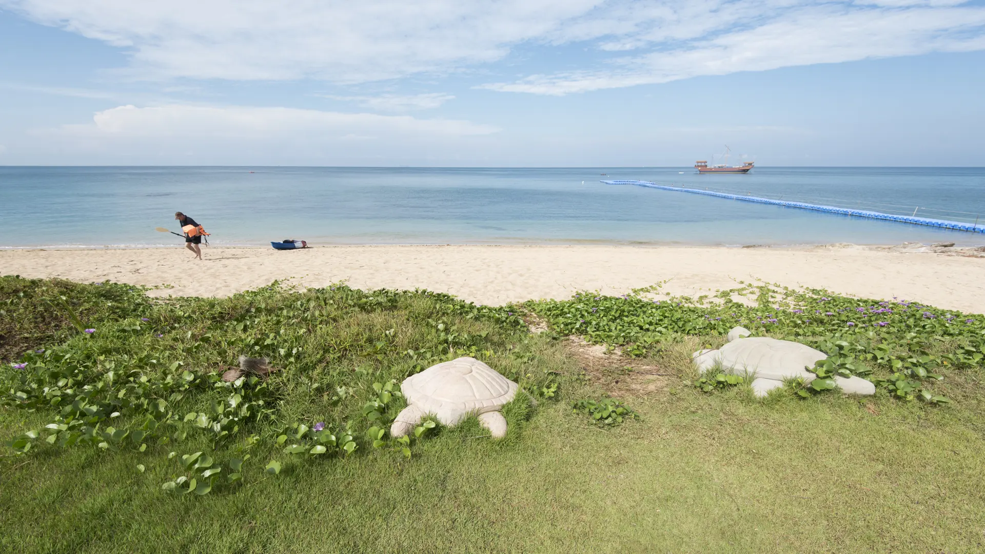 landscape (11).jpg