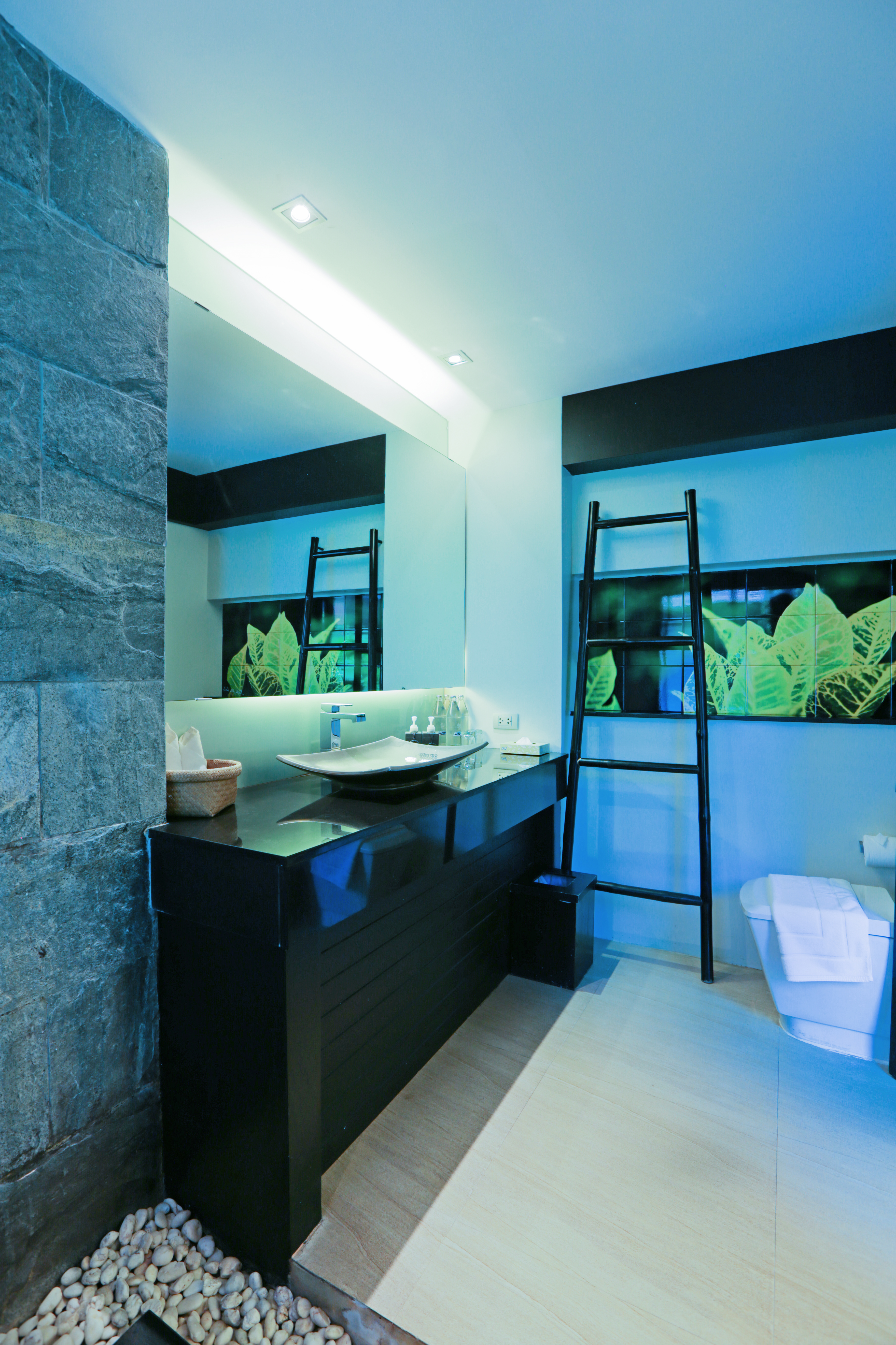 Superior Bungalow Bathroom 2.jpg