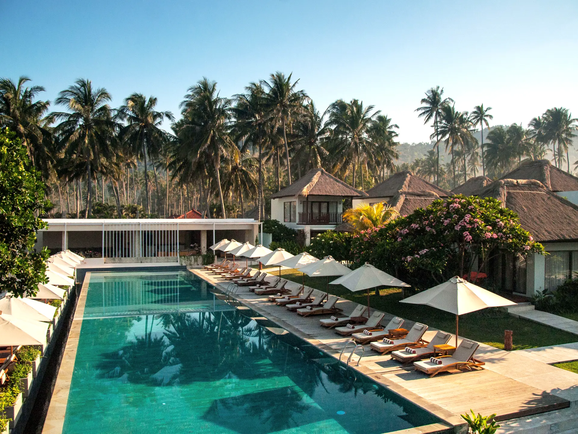 Infinity Pool (2).jpg