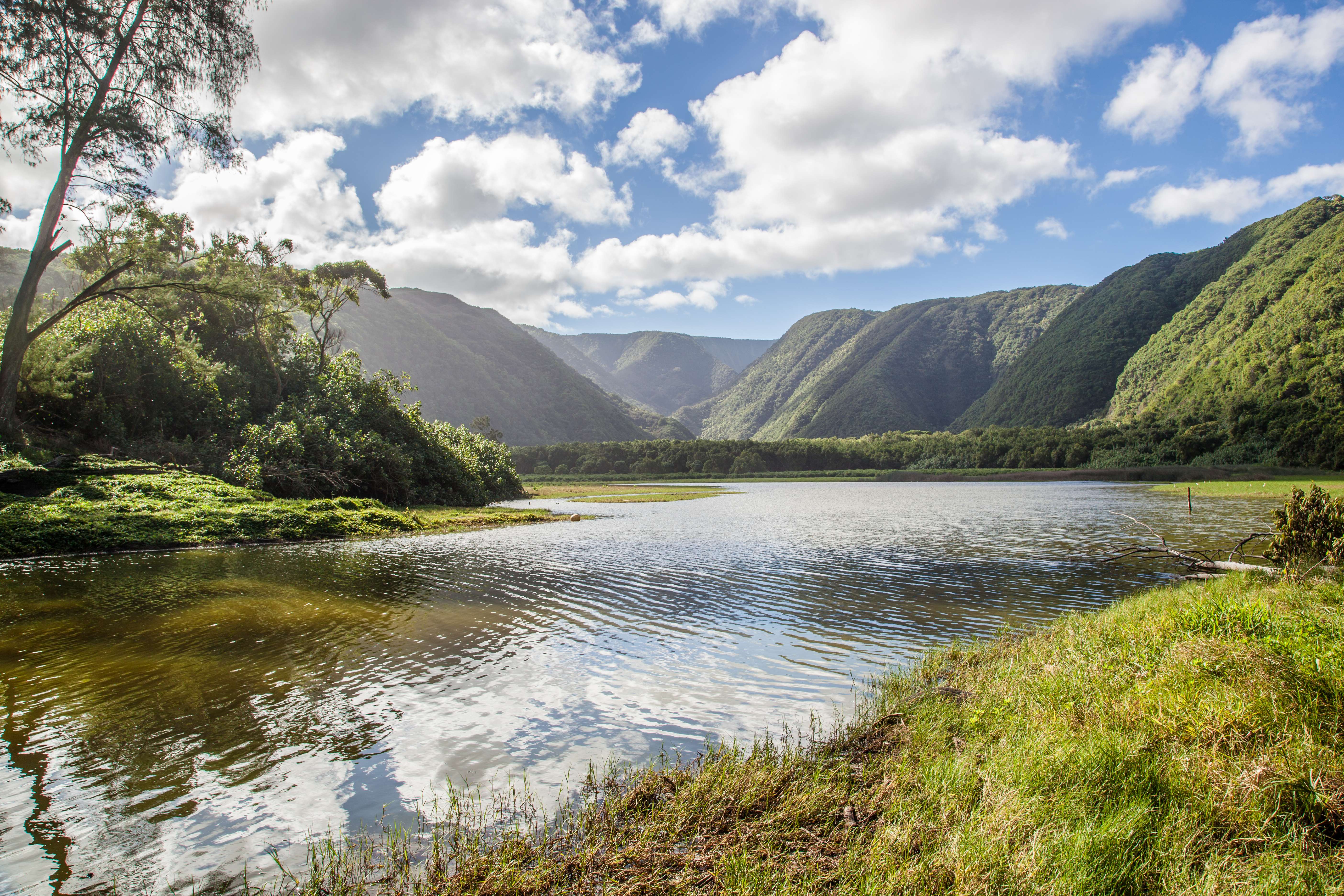 Pololu Valley big island.jpg