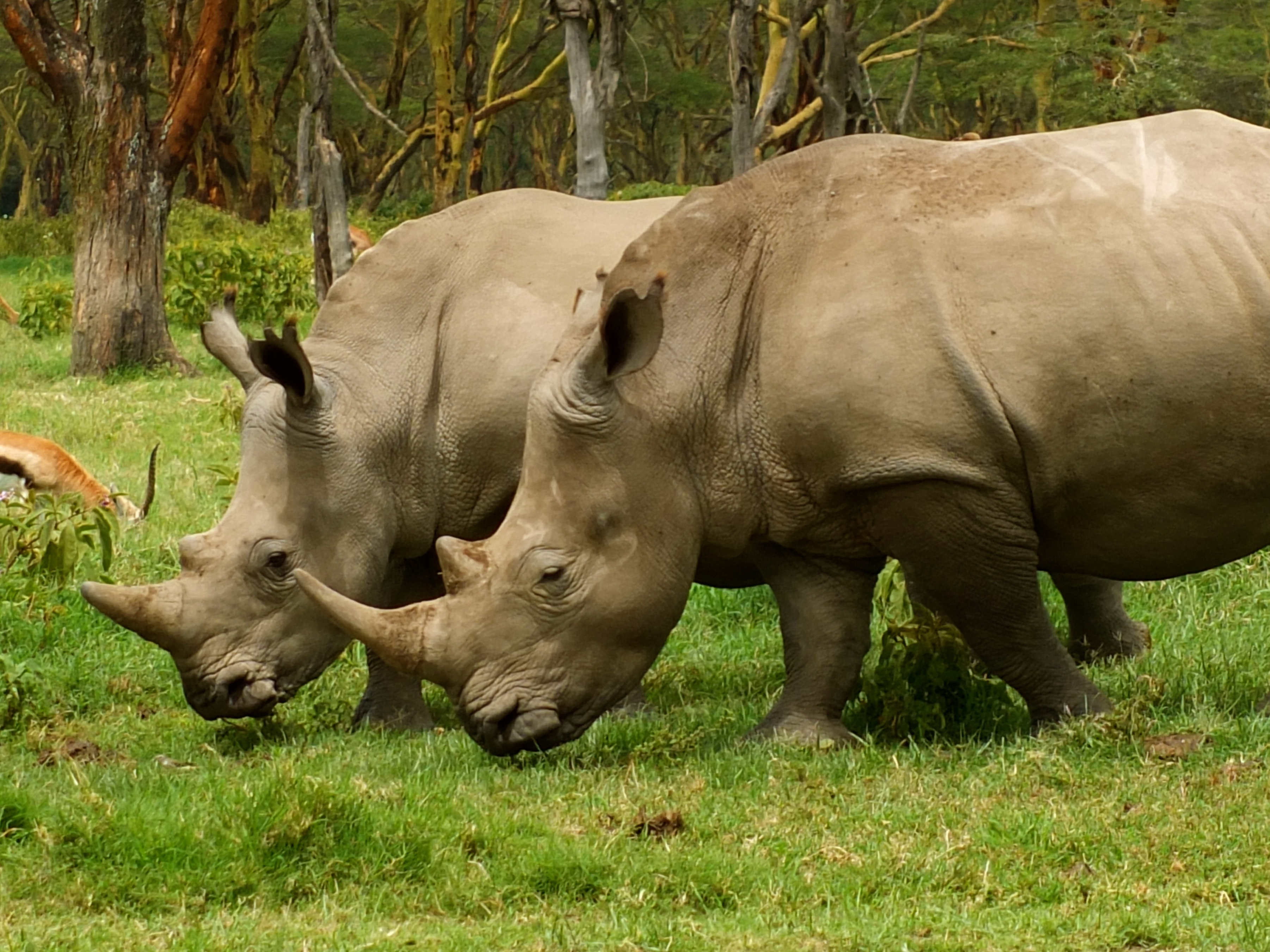 Tanzania Migration Dyr7
