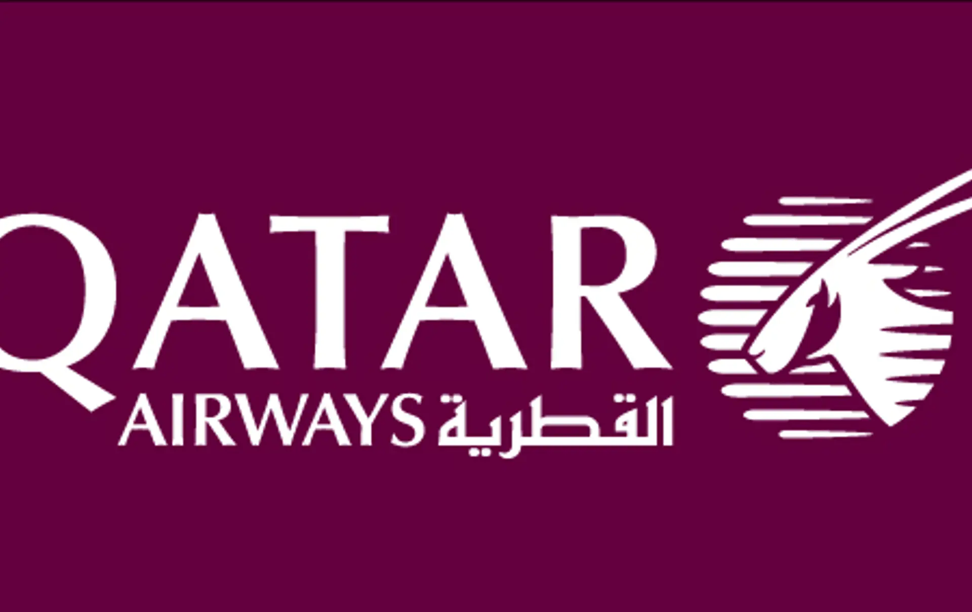 QR Logo Horizontal White