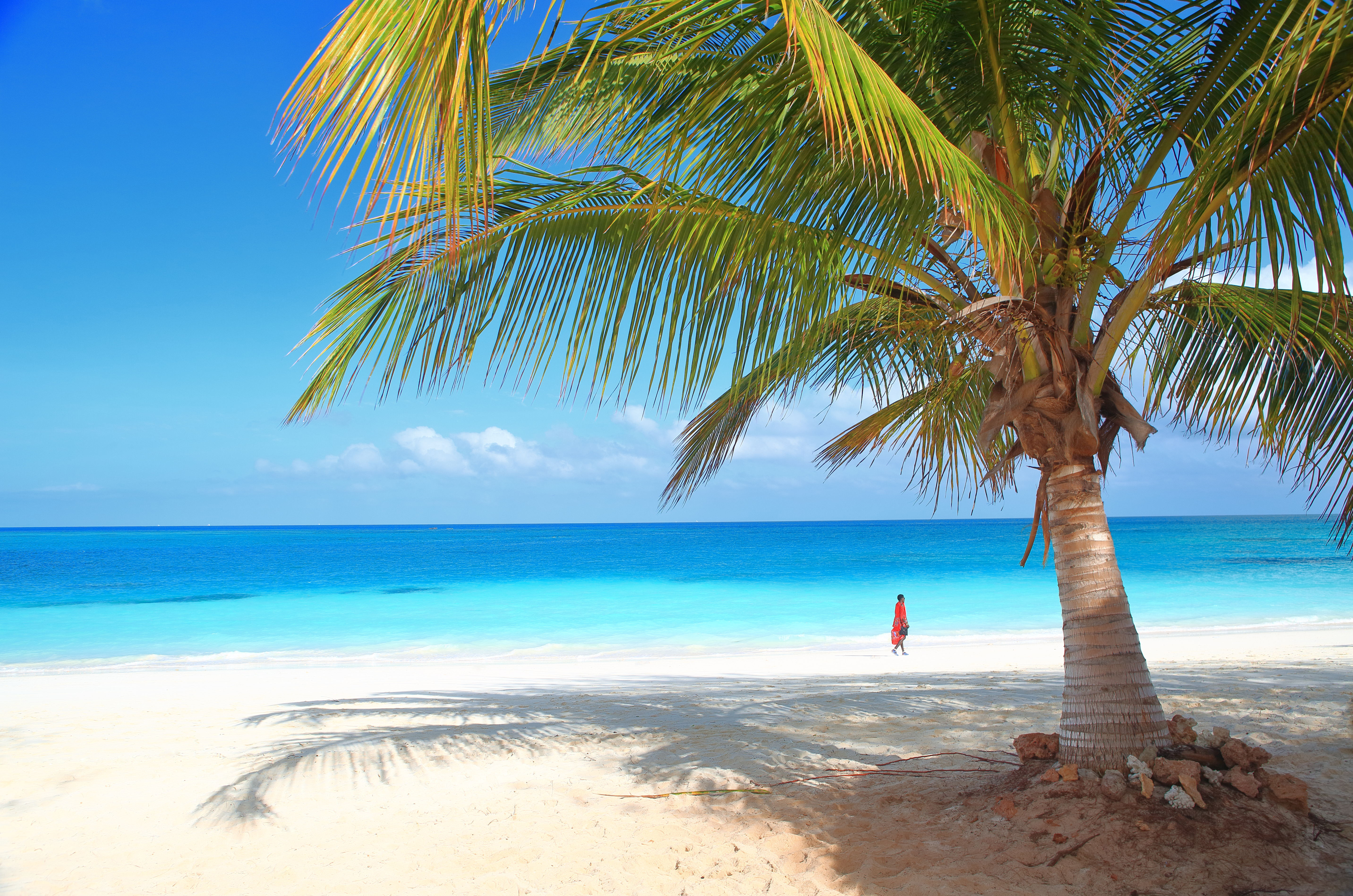 Shutterstock 597977831