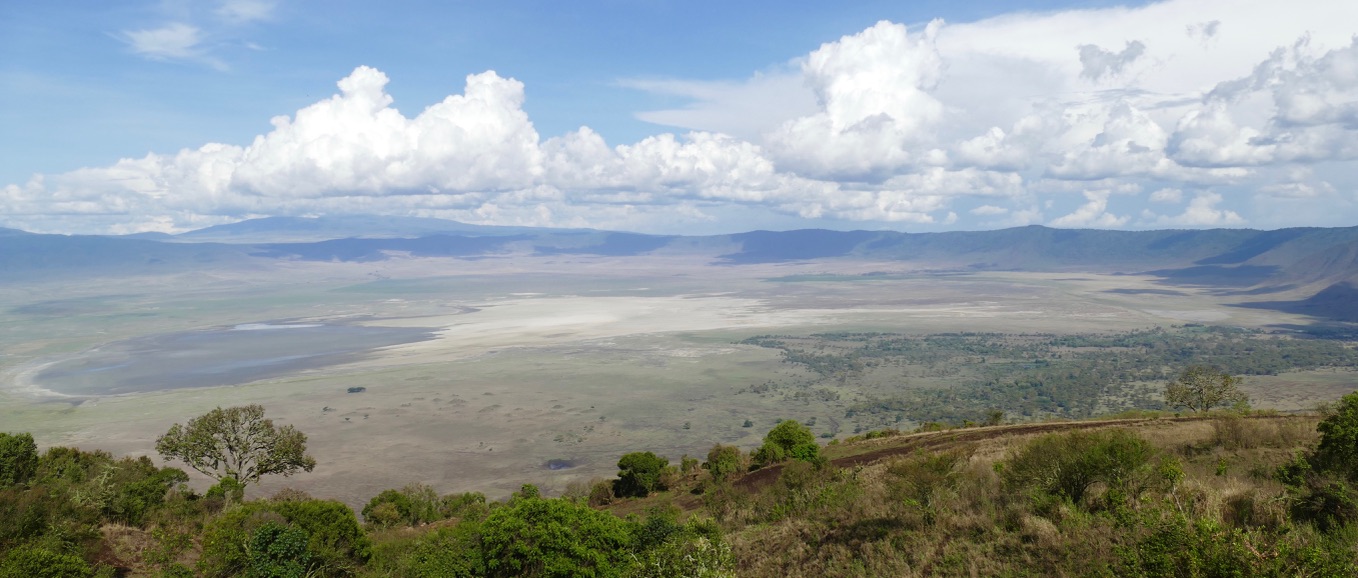 Dyr Ngorongoro10