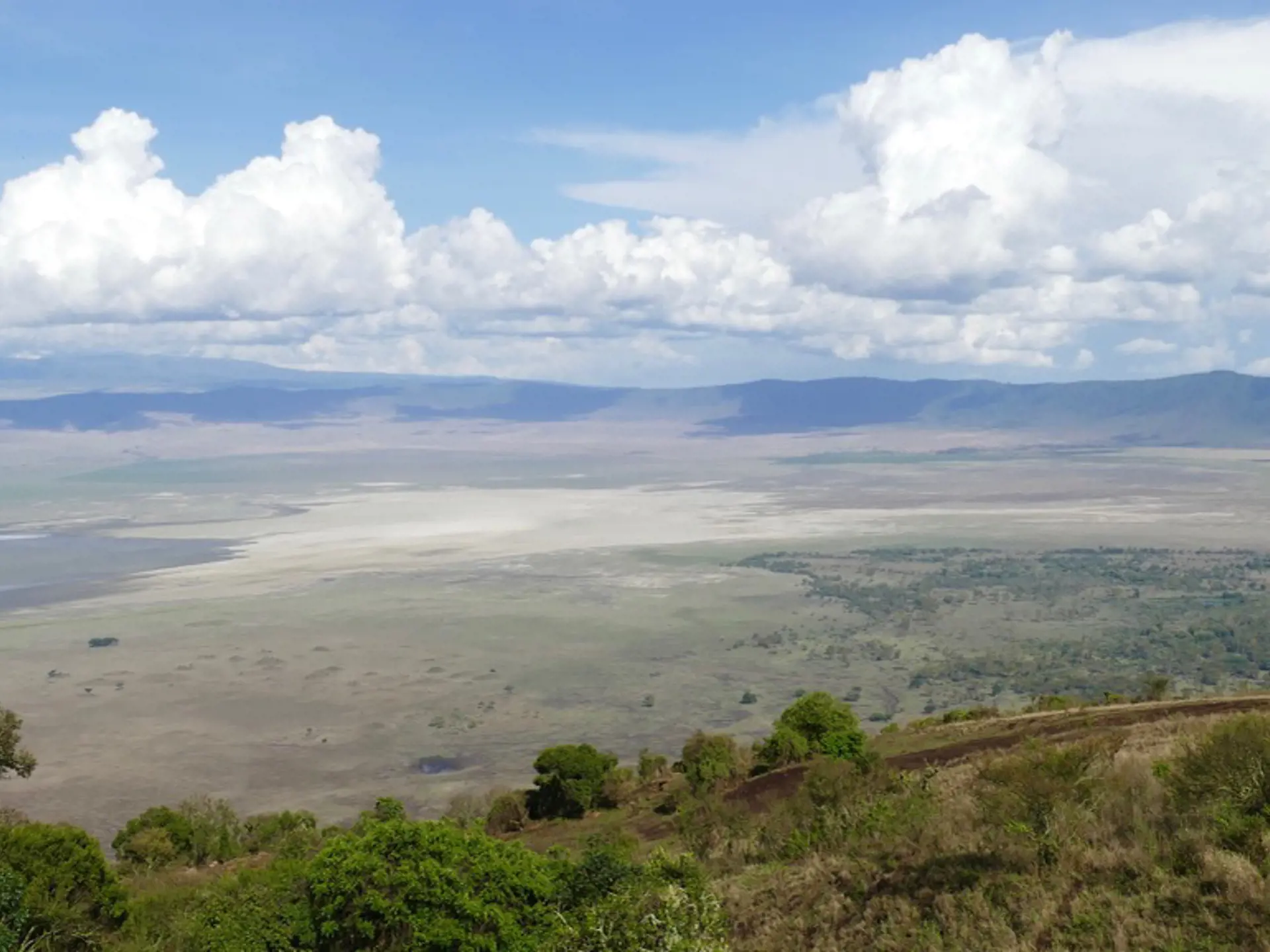 Dyr Ngorongoro10