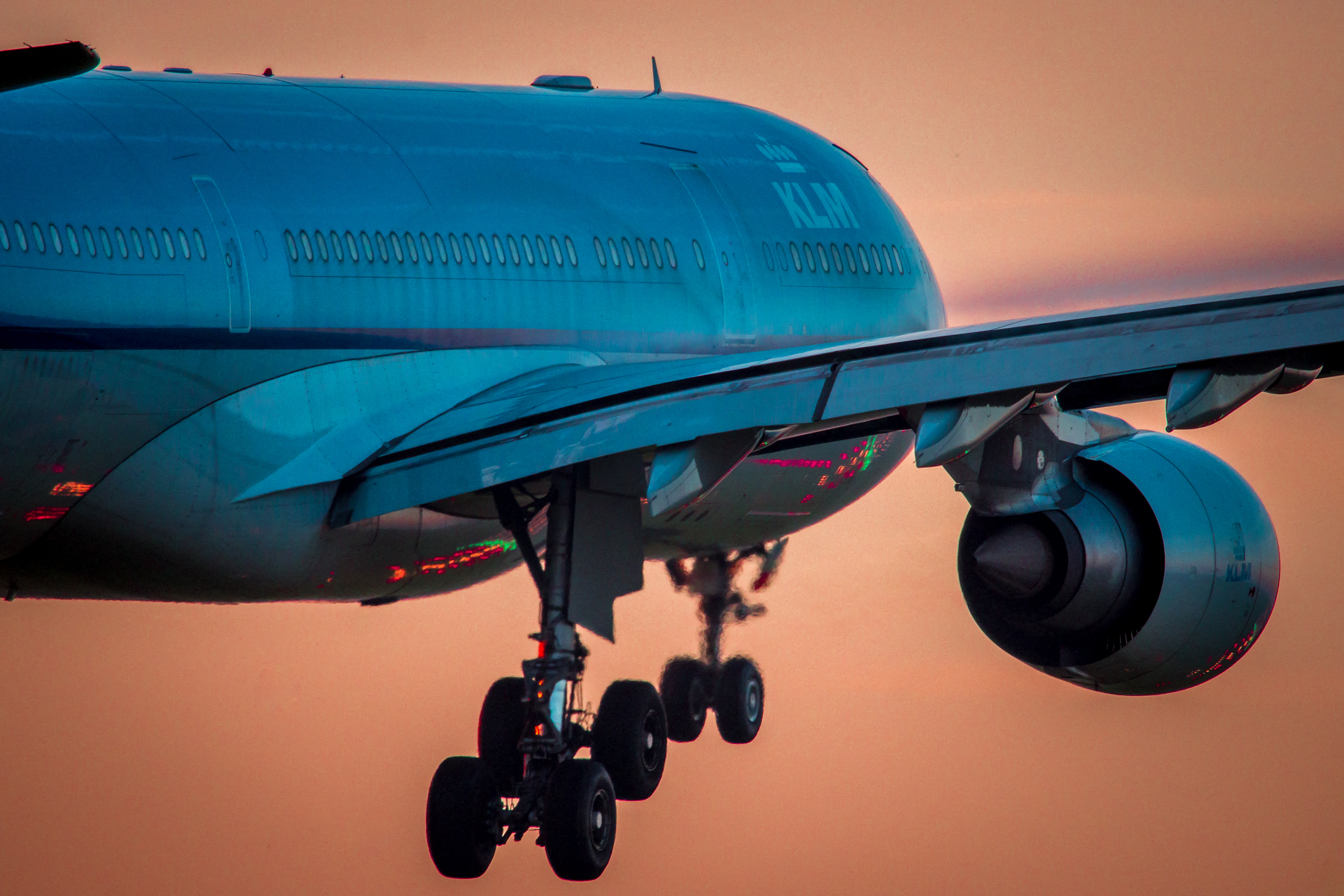 Shutterstock 1367666957