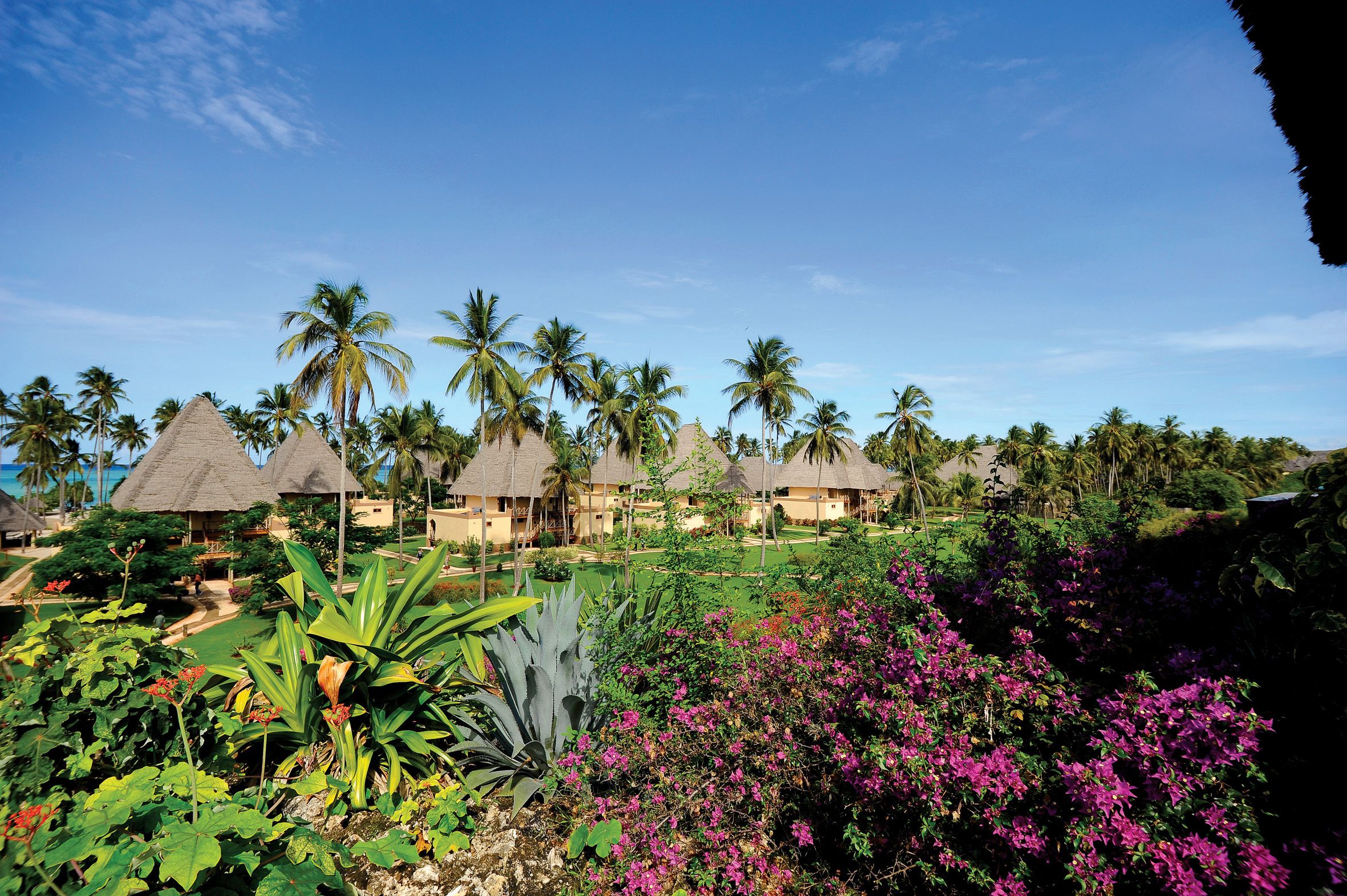 Pwani Global View Bis