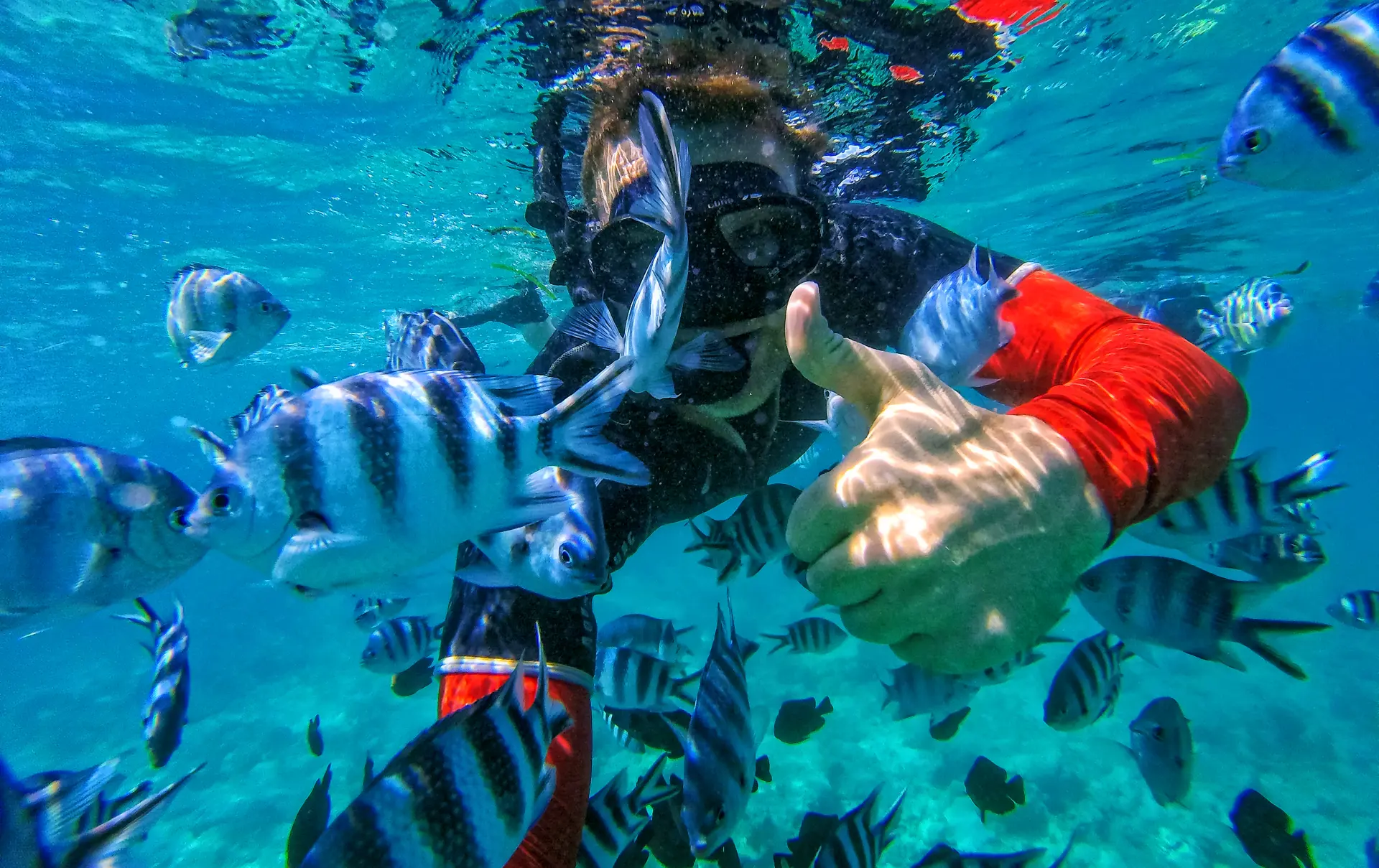 Snorkeling (2)