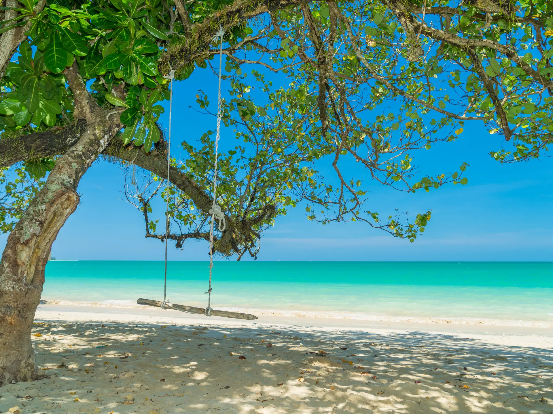 Khao Lak Similan (3)