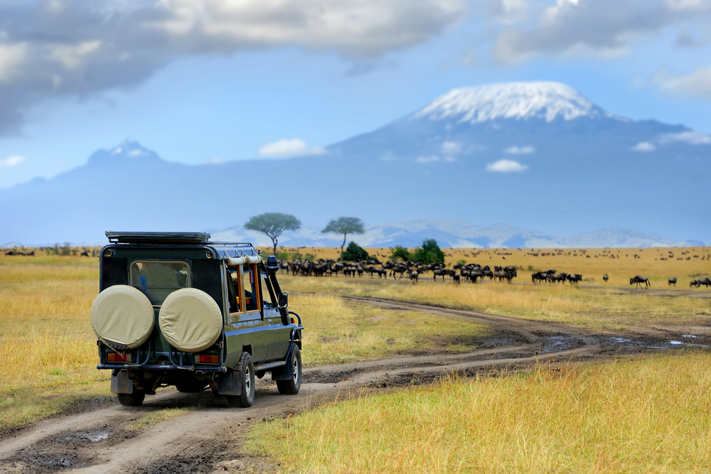 Masai Mara Game Drive