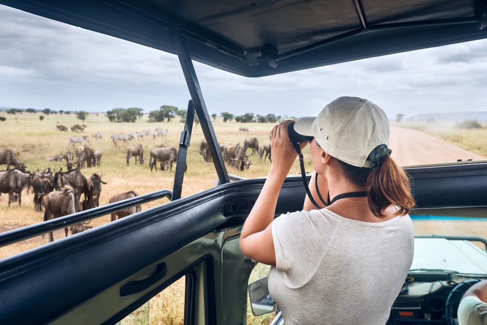 Serengeti Safari