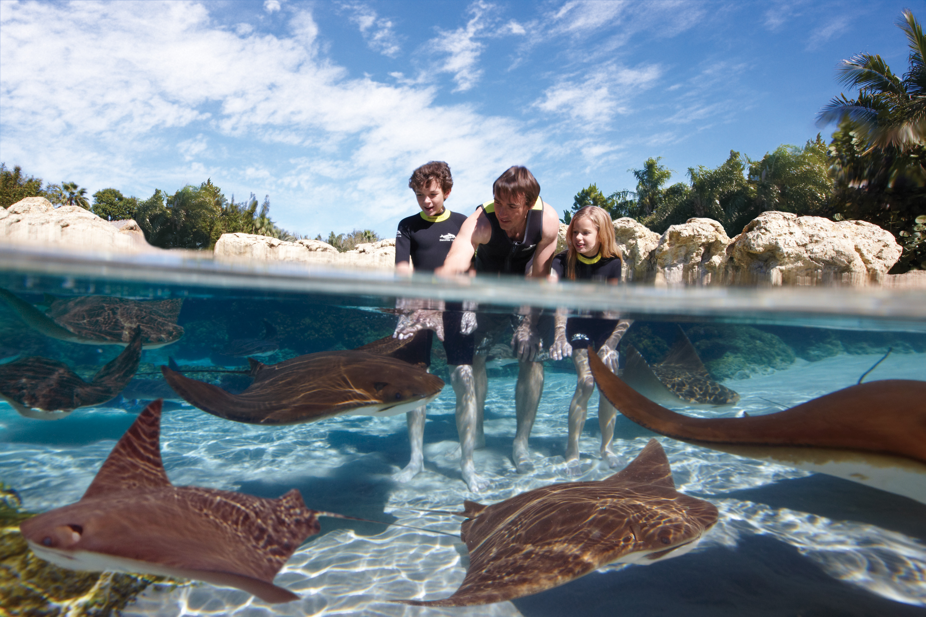 Discovery Cove_Ray Lagoon Family 1 High Resolution.jpg