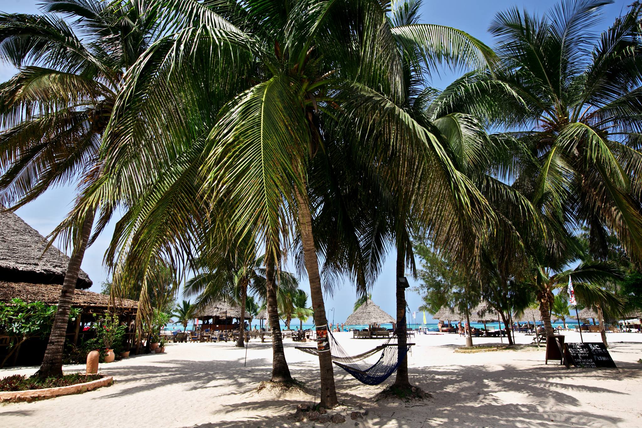 12291717 737658369667563 2602974467821403652 O