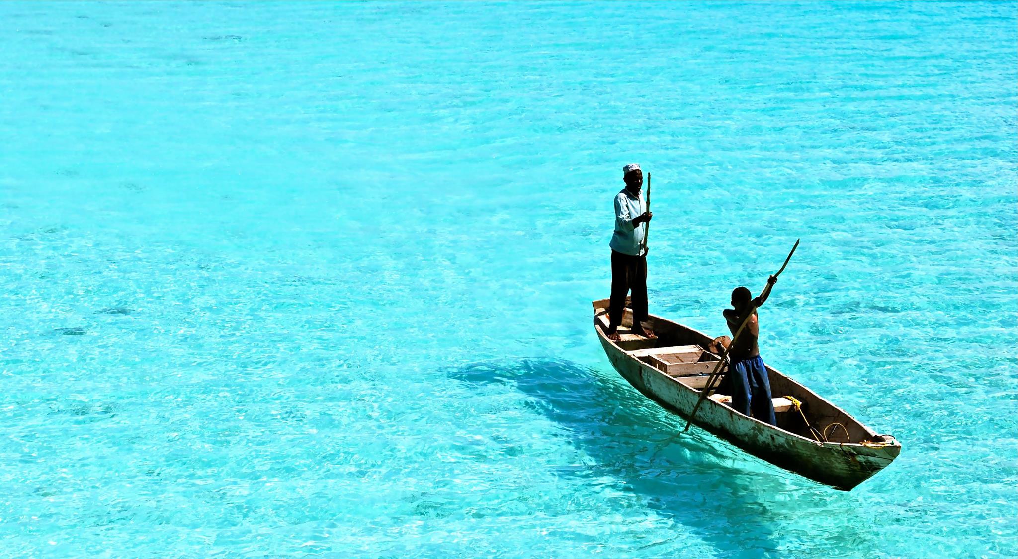 13301264 819779341455465 3976350952218997498 O