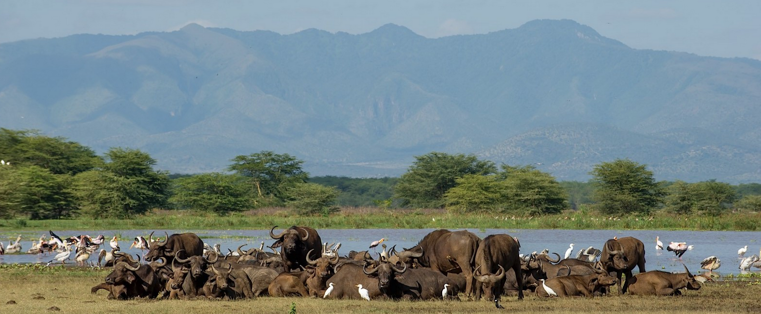 Skærmbillede 2019 09 25 Kl. 19.44.11