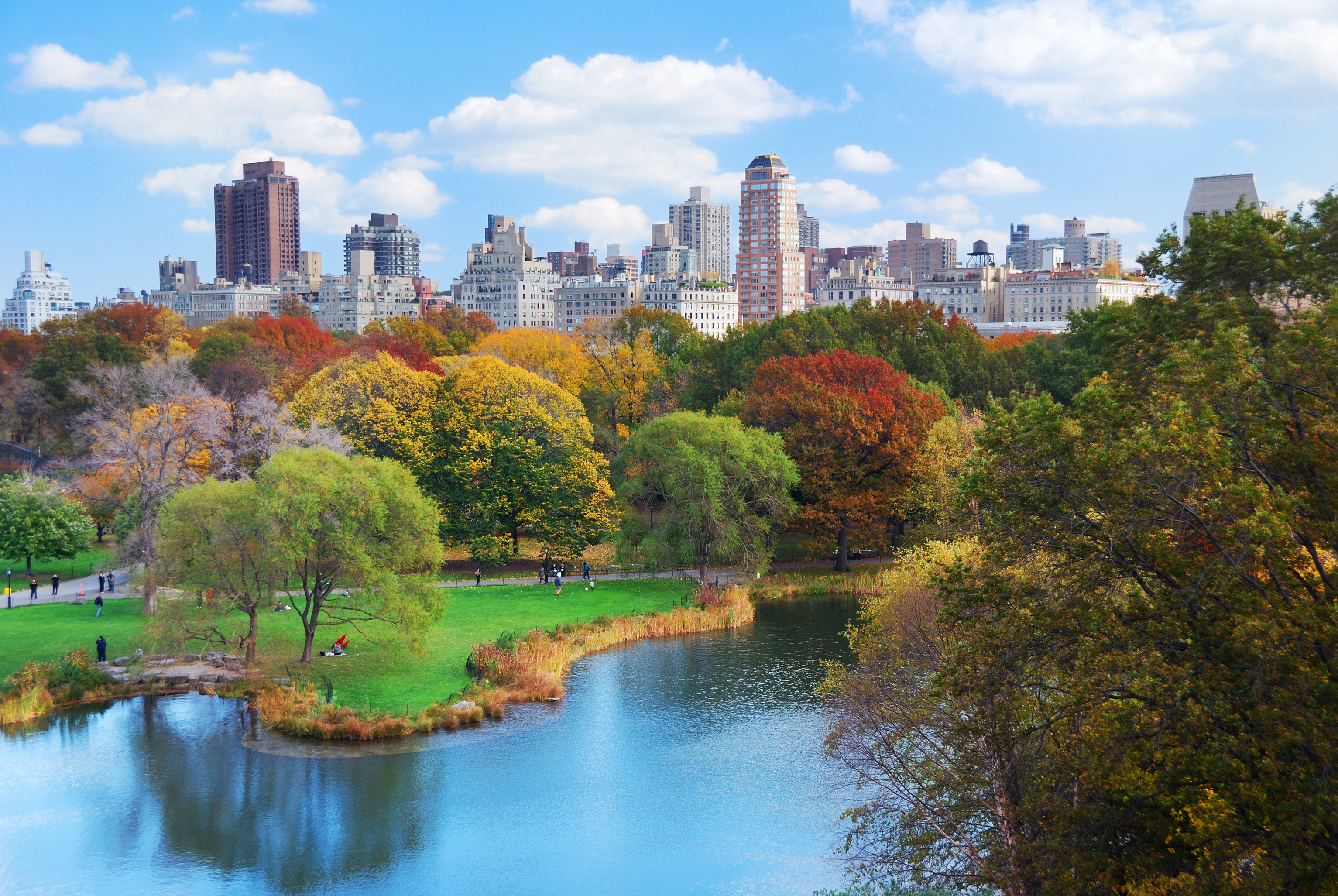 New York City Manhattan Central Park.jpg