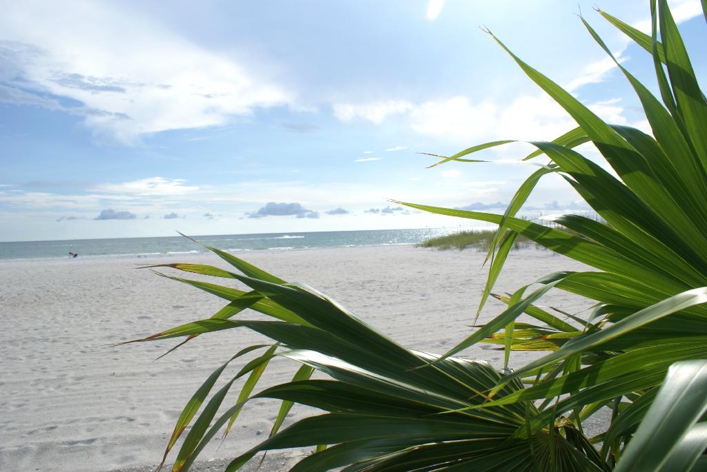 Barefoot Beach Hotel