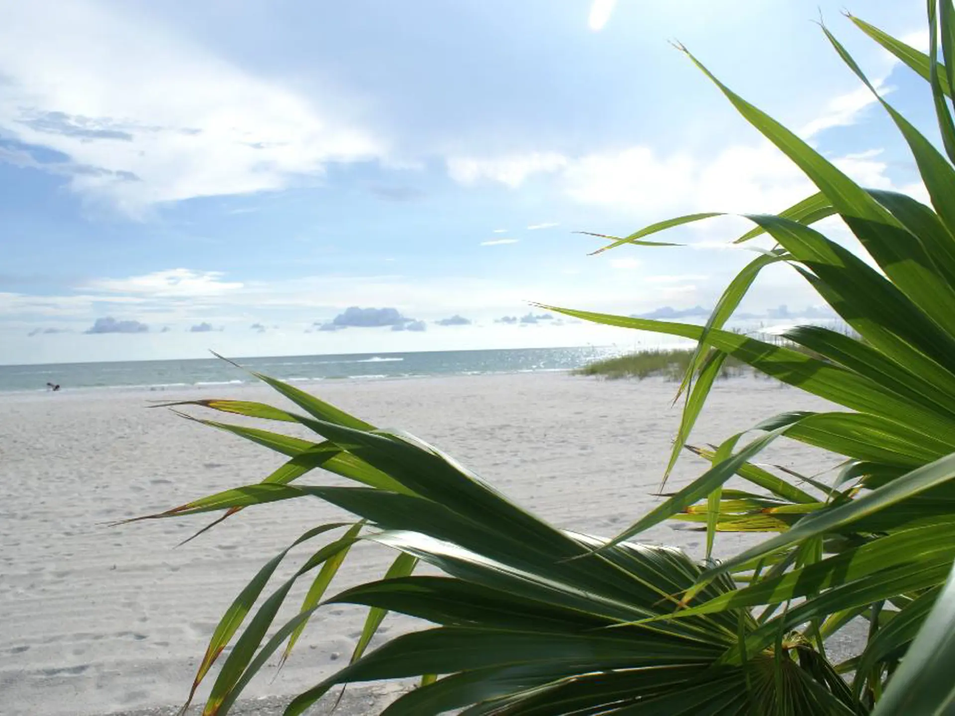 Barefoot Beach Hotel