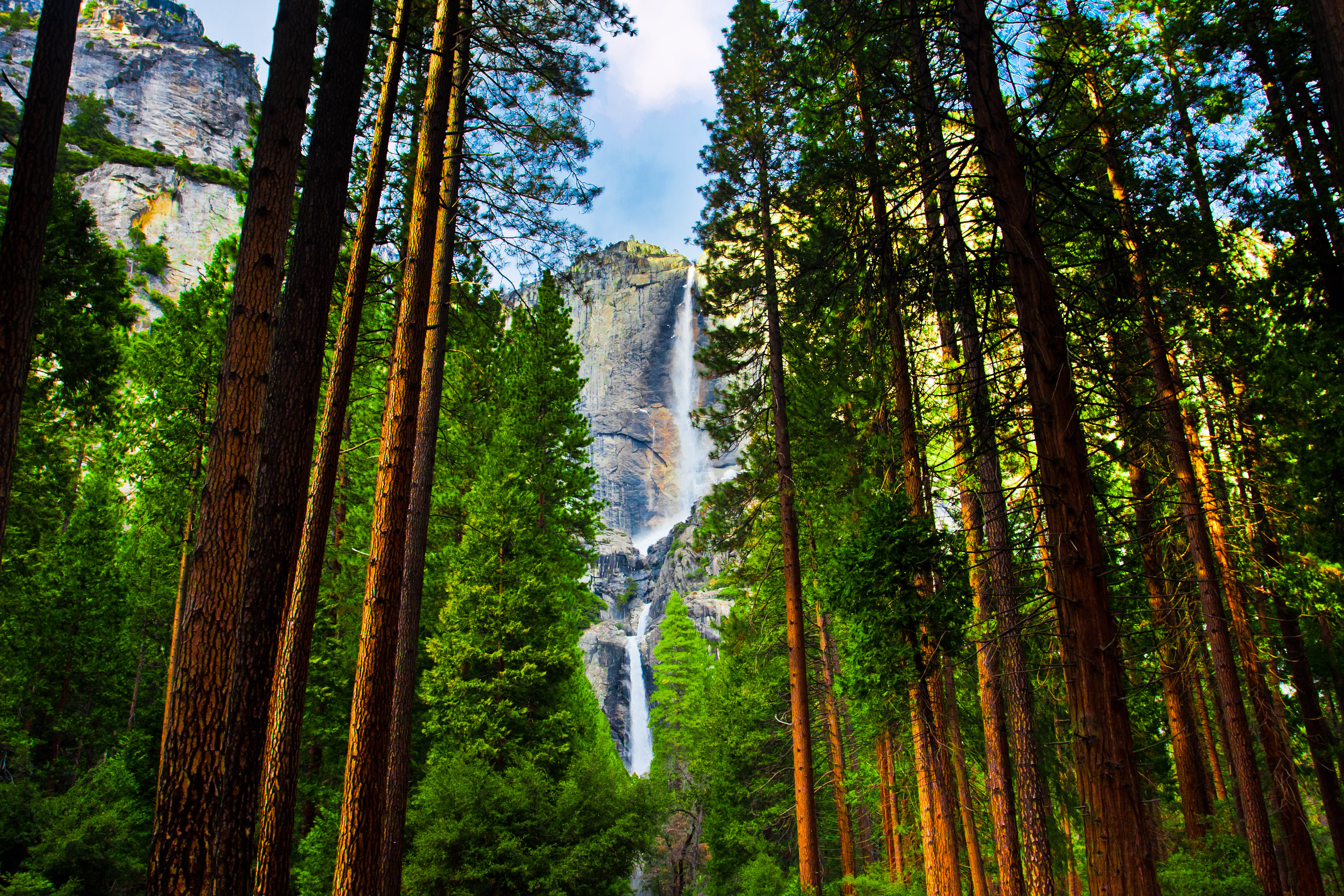 shutterstock_128950319 Yosemite Waterfalls behind Sequoias in Yosemite National Park,California.jpg