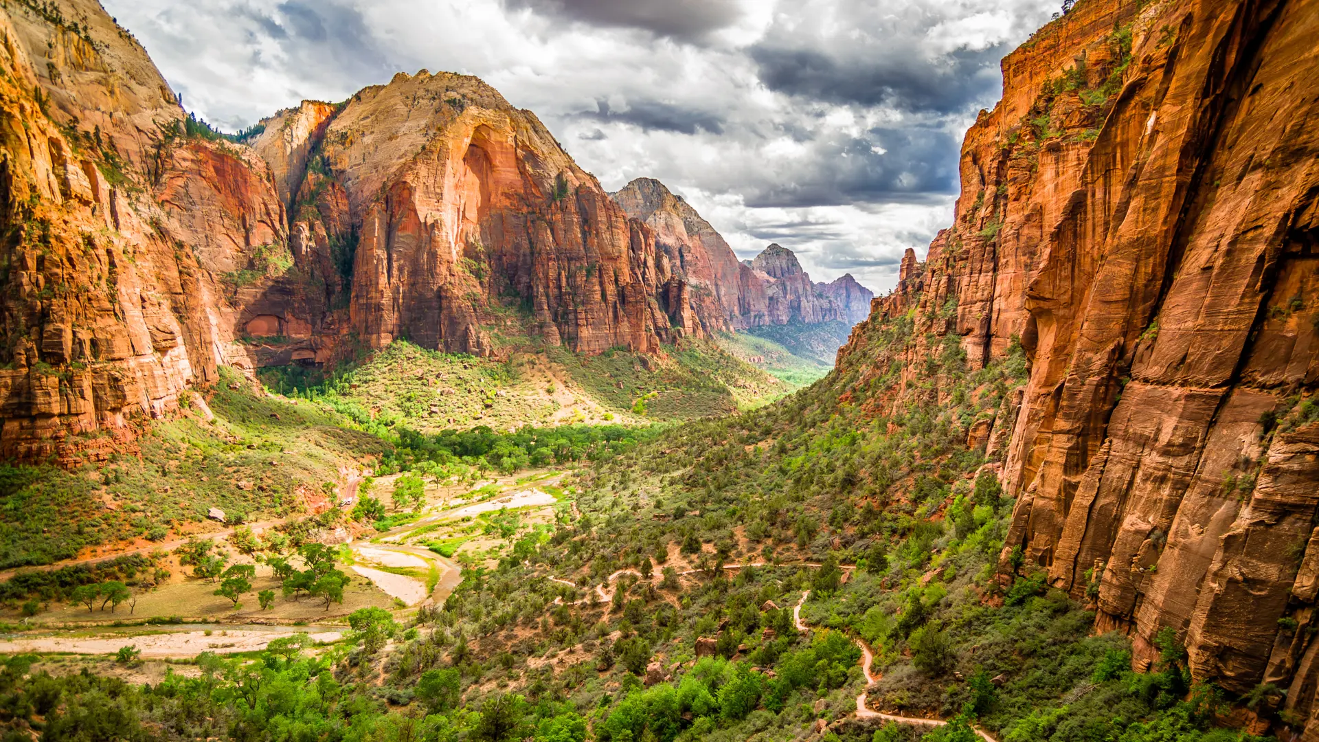 shutterstock_220731535 colorful landscape from zion national park utah.jpg