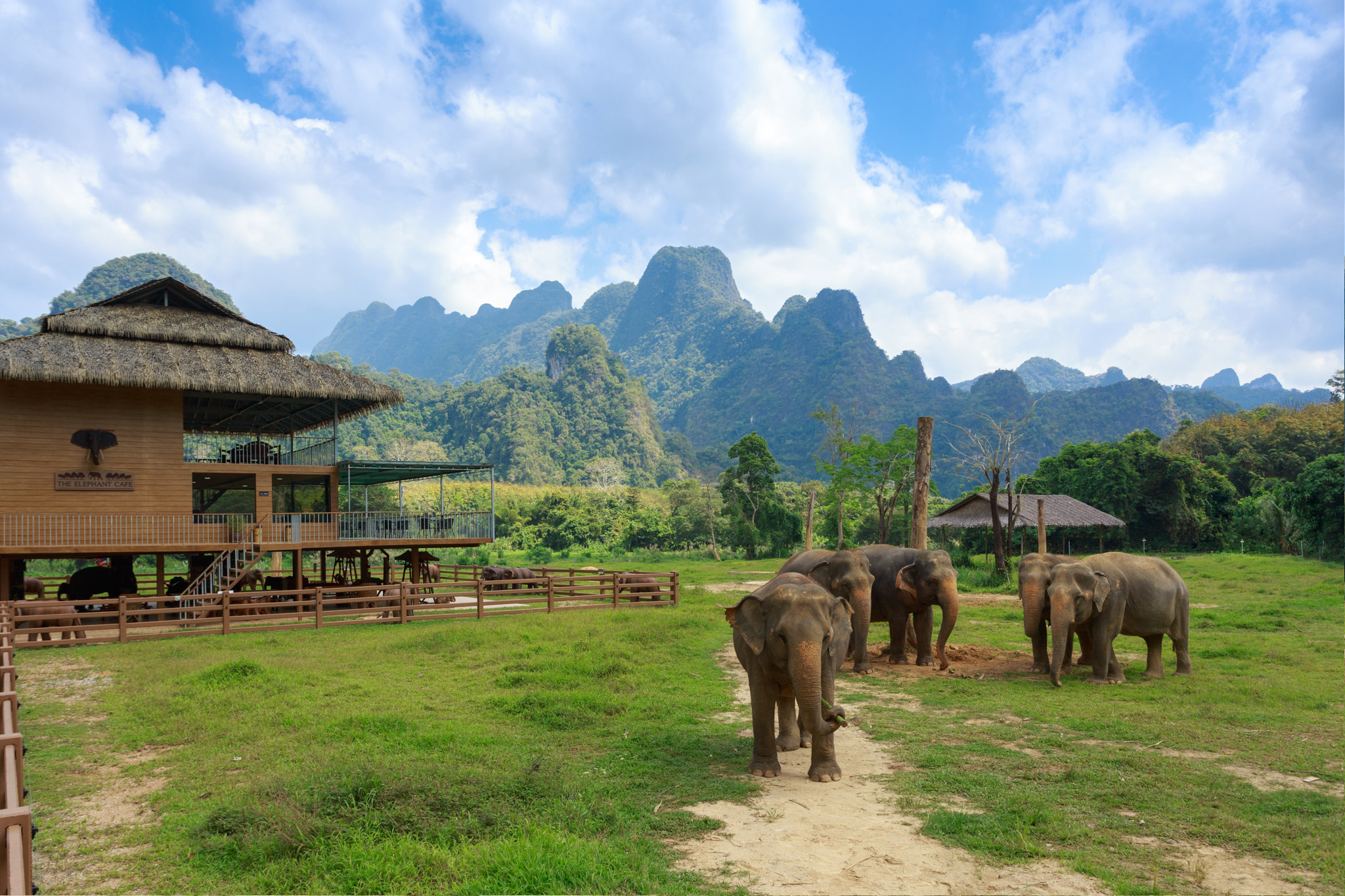 H12 Ethical Elephant Experience At Elephant Hills Luxury Tented Camp Khao Sok National Park Thailand No Elephant Riding Or Trekking