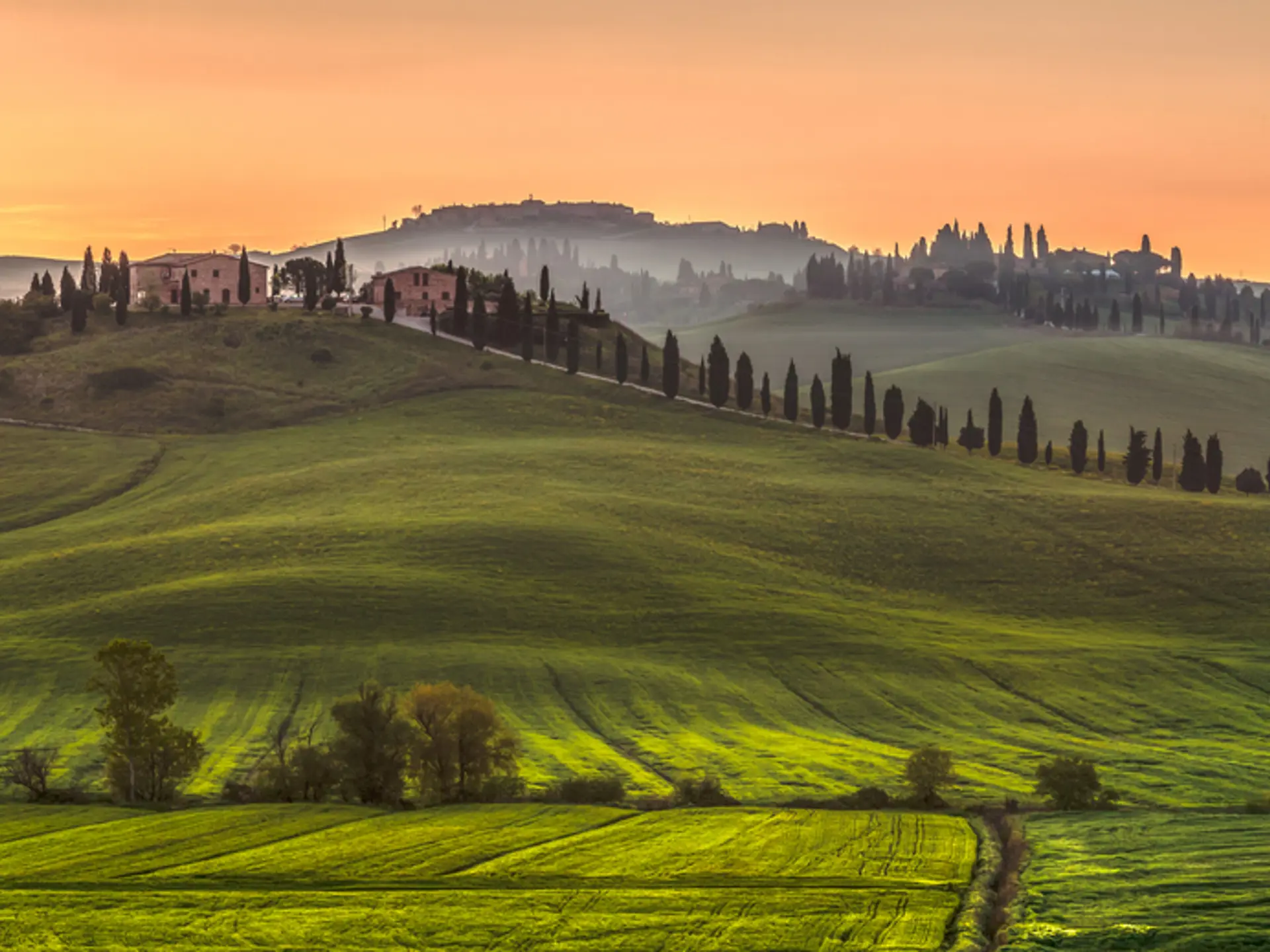 Shutterstock 751114954