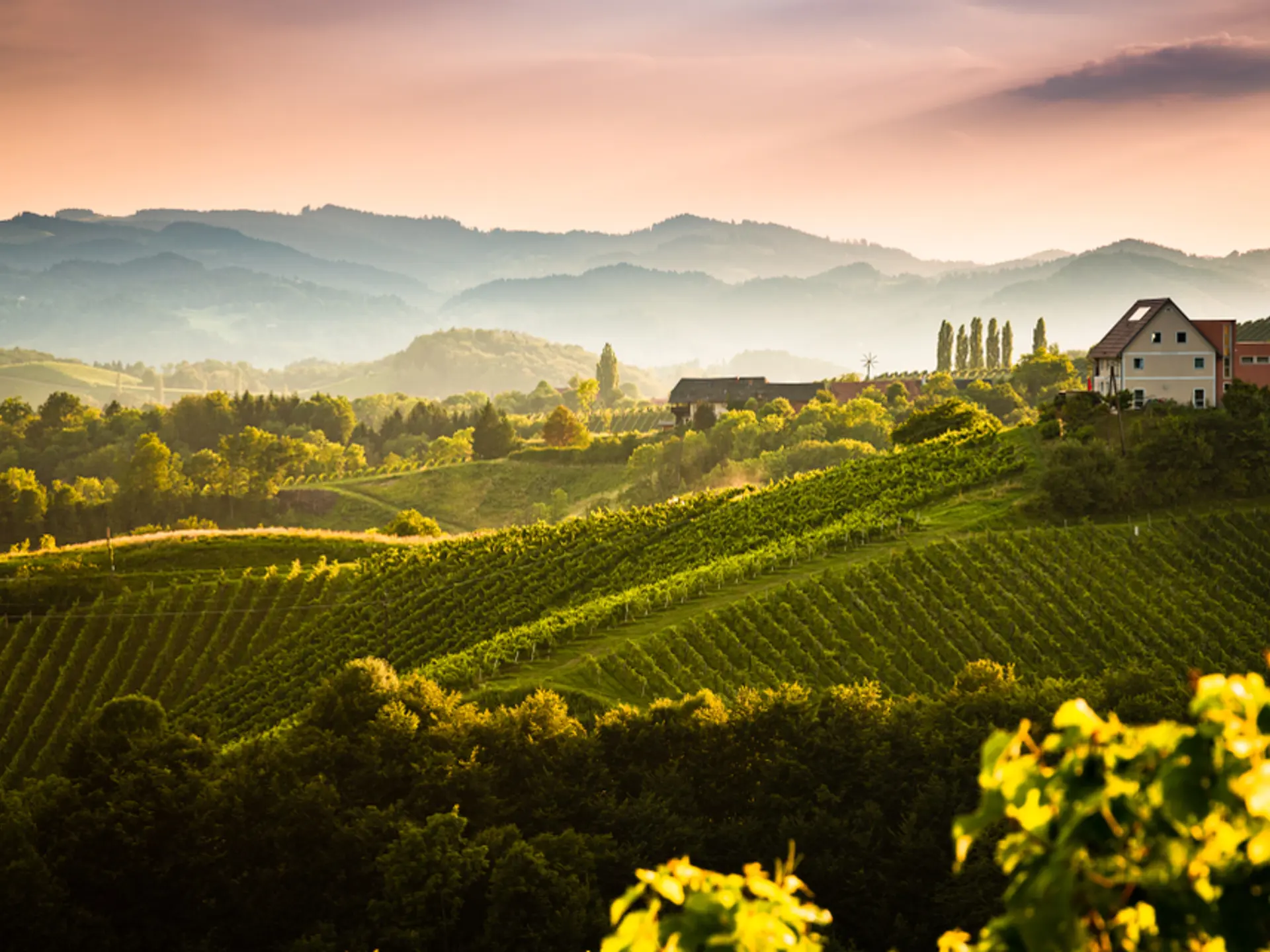 Shutterstock 1461253913