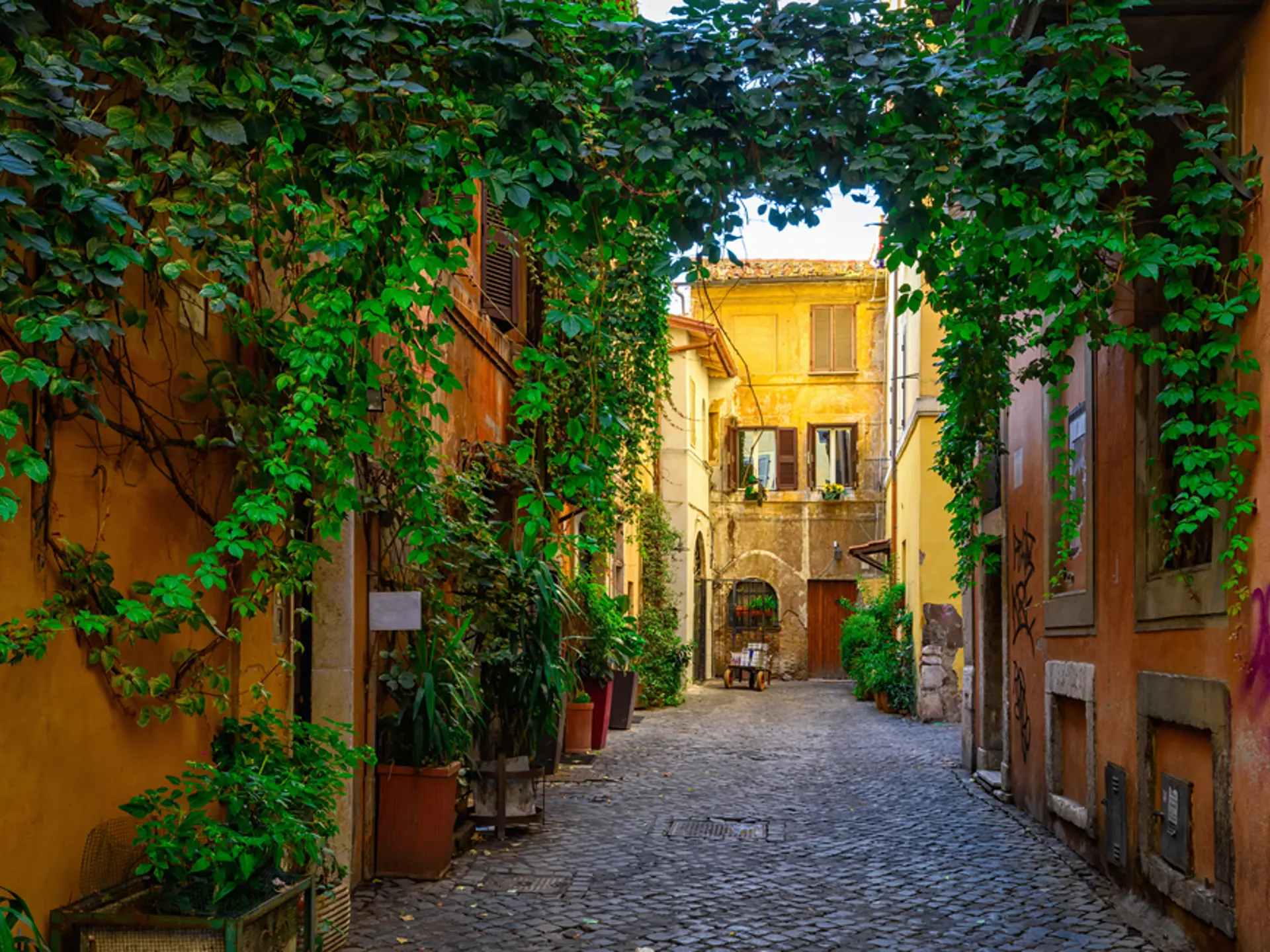 Shutterstock 529965313