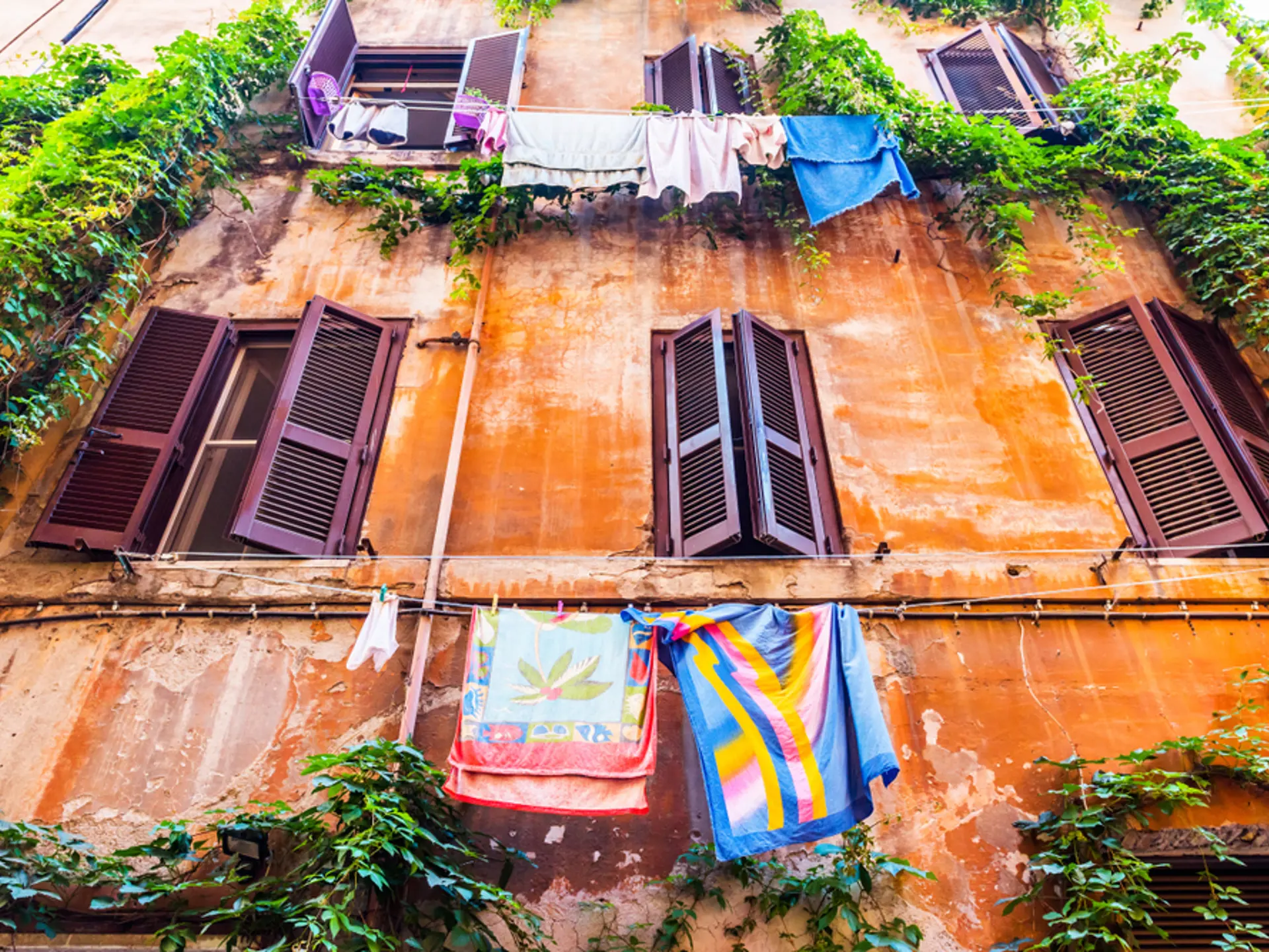 Shutterstock 1577064844