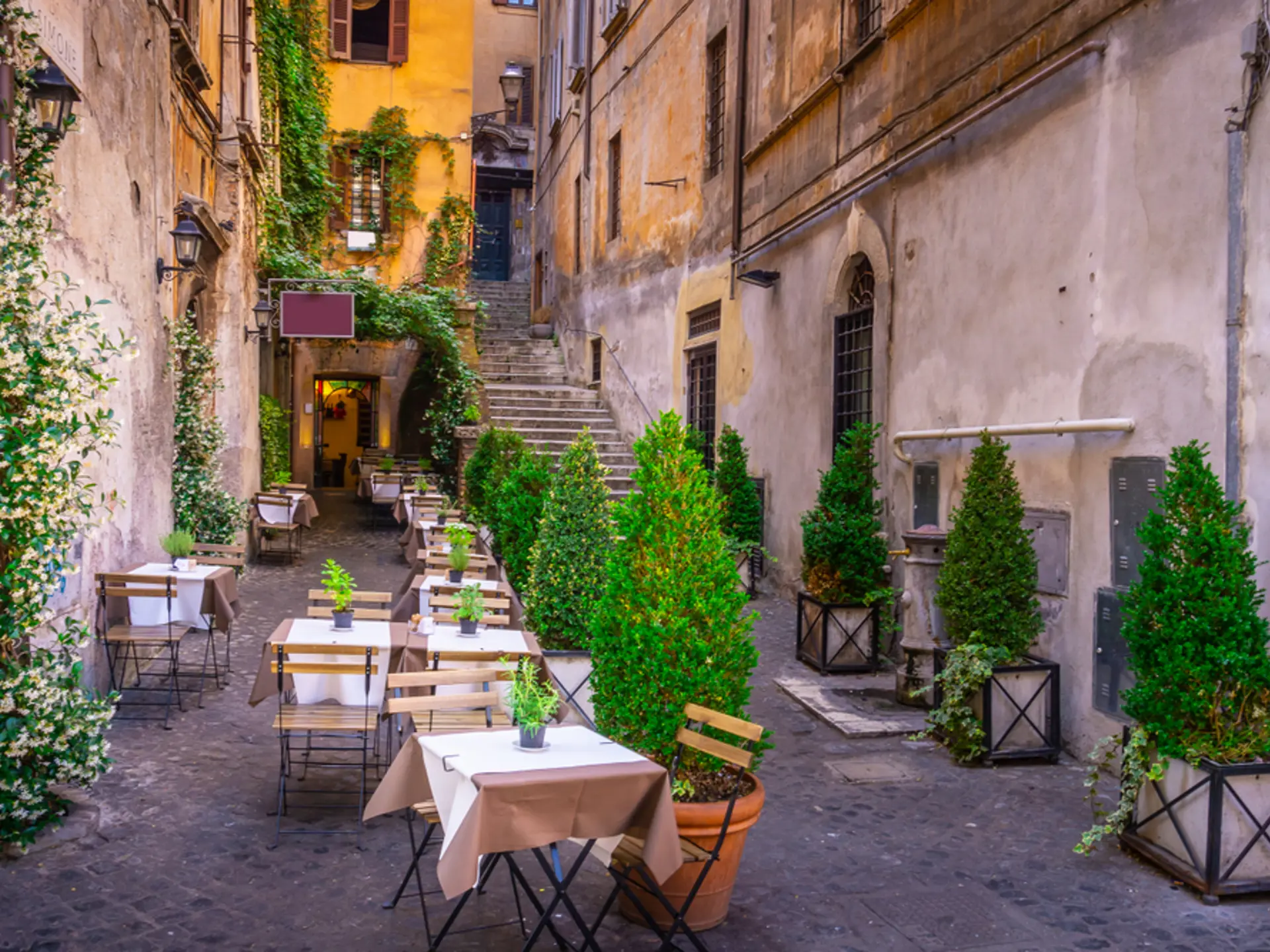 Shutterstock 1218607090 (1)