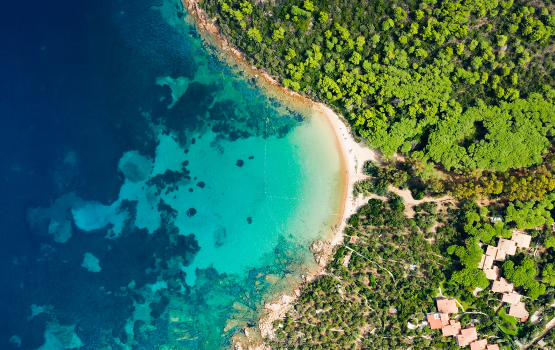 Shutterstock 1185826321