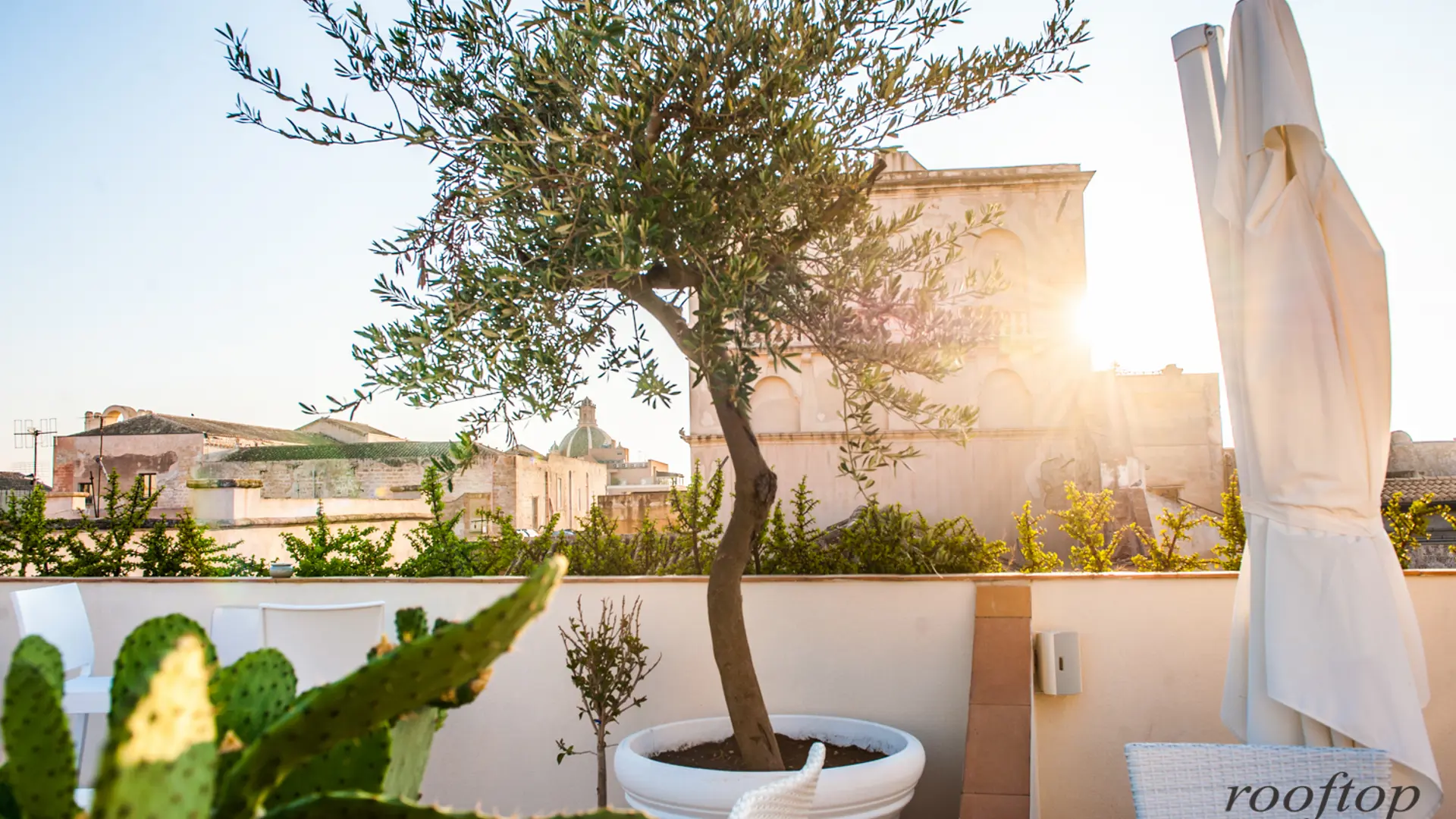 Du kan också njuta av solen på takterrassen