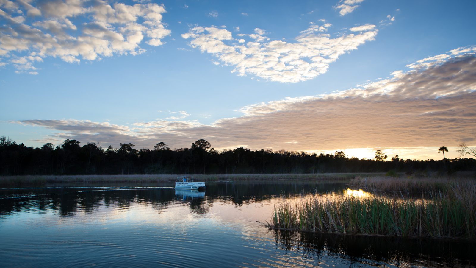 Crystal River Bay (1)