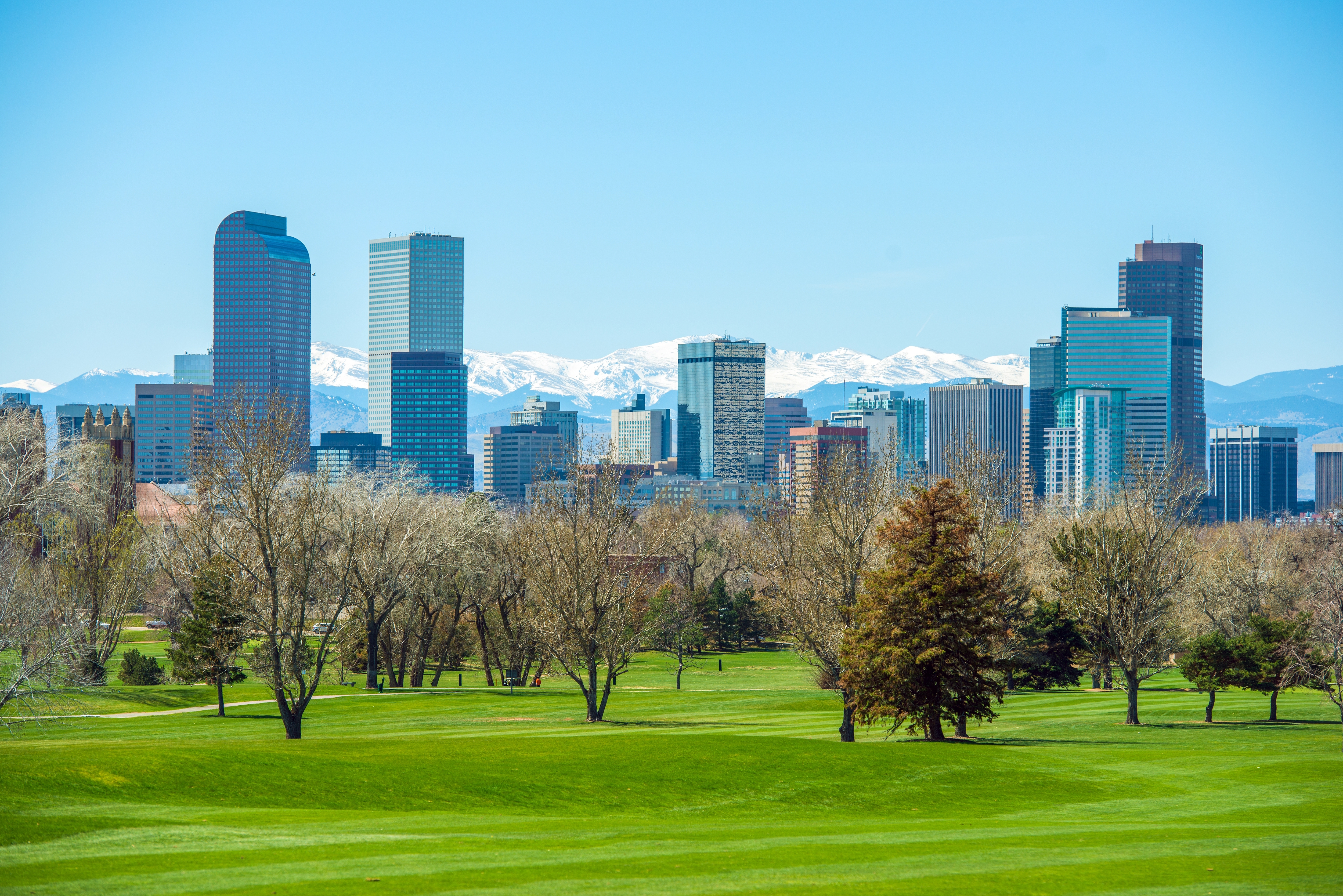 shutterstock_186925442 Sunny Denver Skyline. Spring in Colorado. Denver Skyline and Snowy Rocky Mountains..jpg